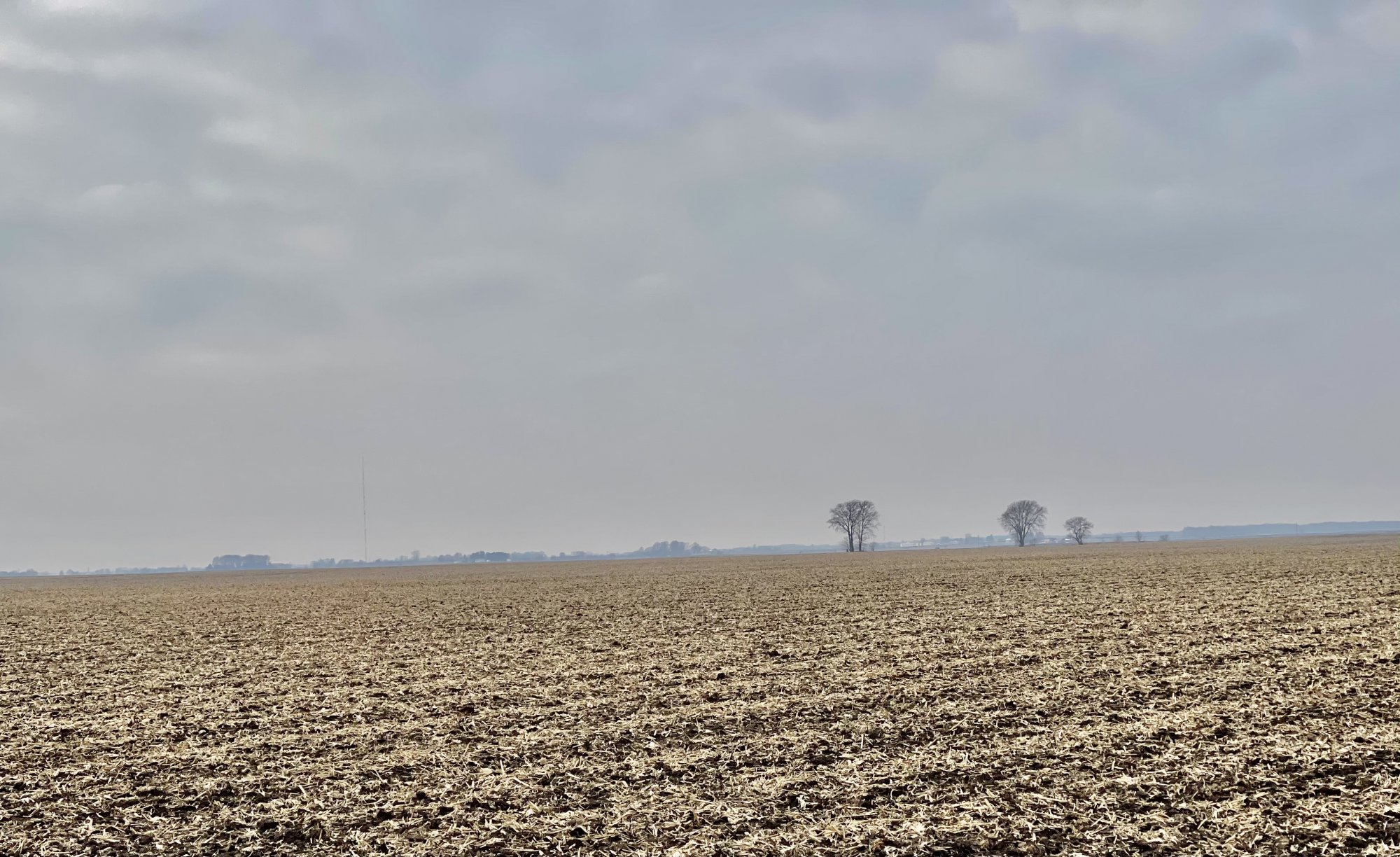 2C729296-81F4-40AE-AF16-D0AC6C100650.jpeg