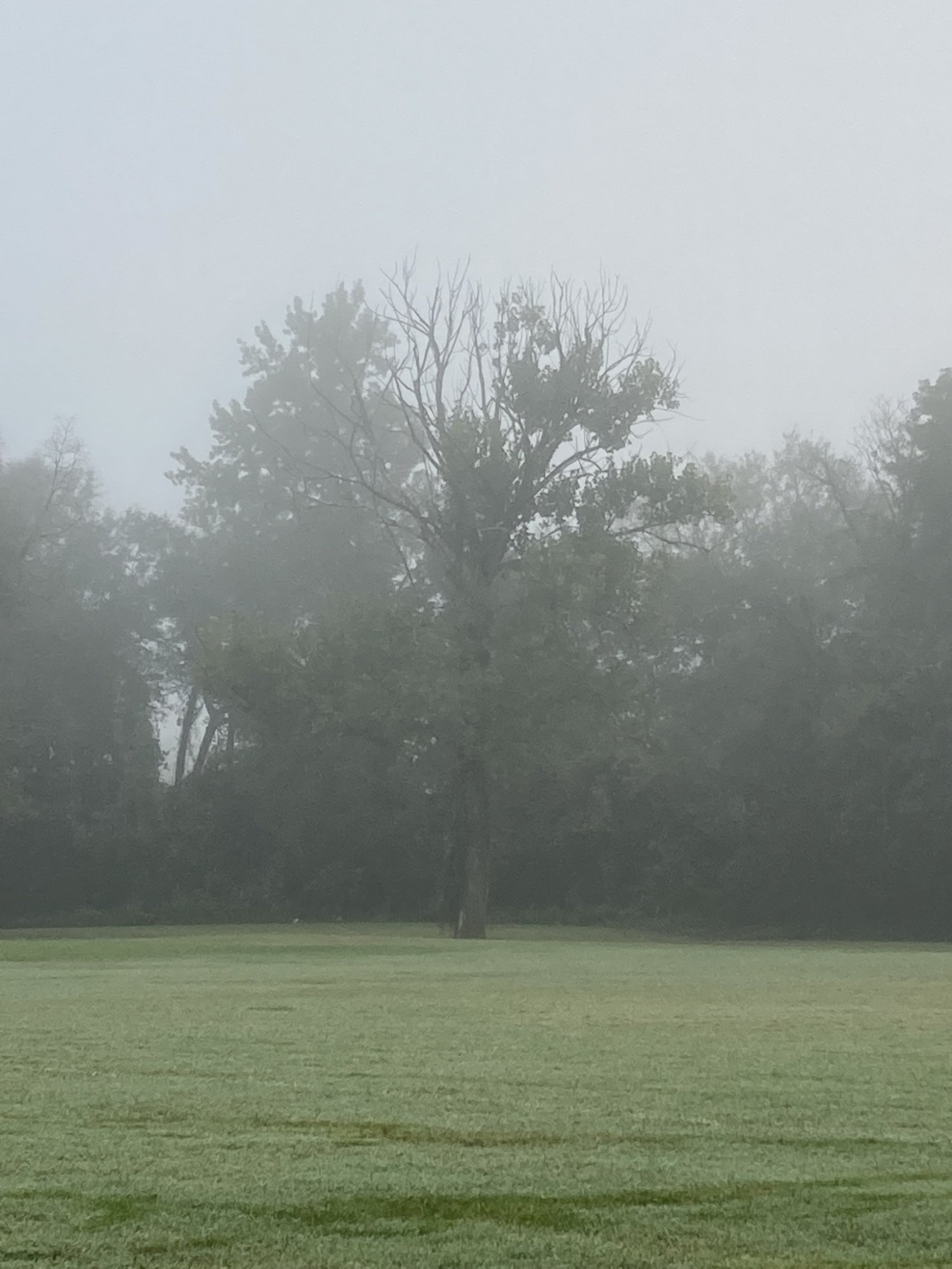 2EFBBC8B-2101-4CC3-962D-D0871FA87744.jpeg