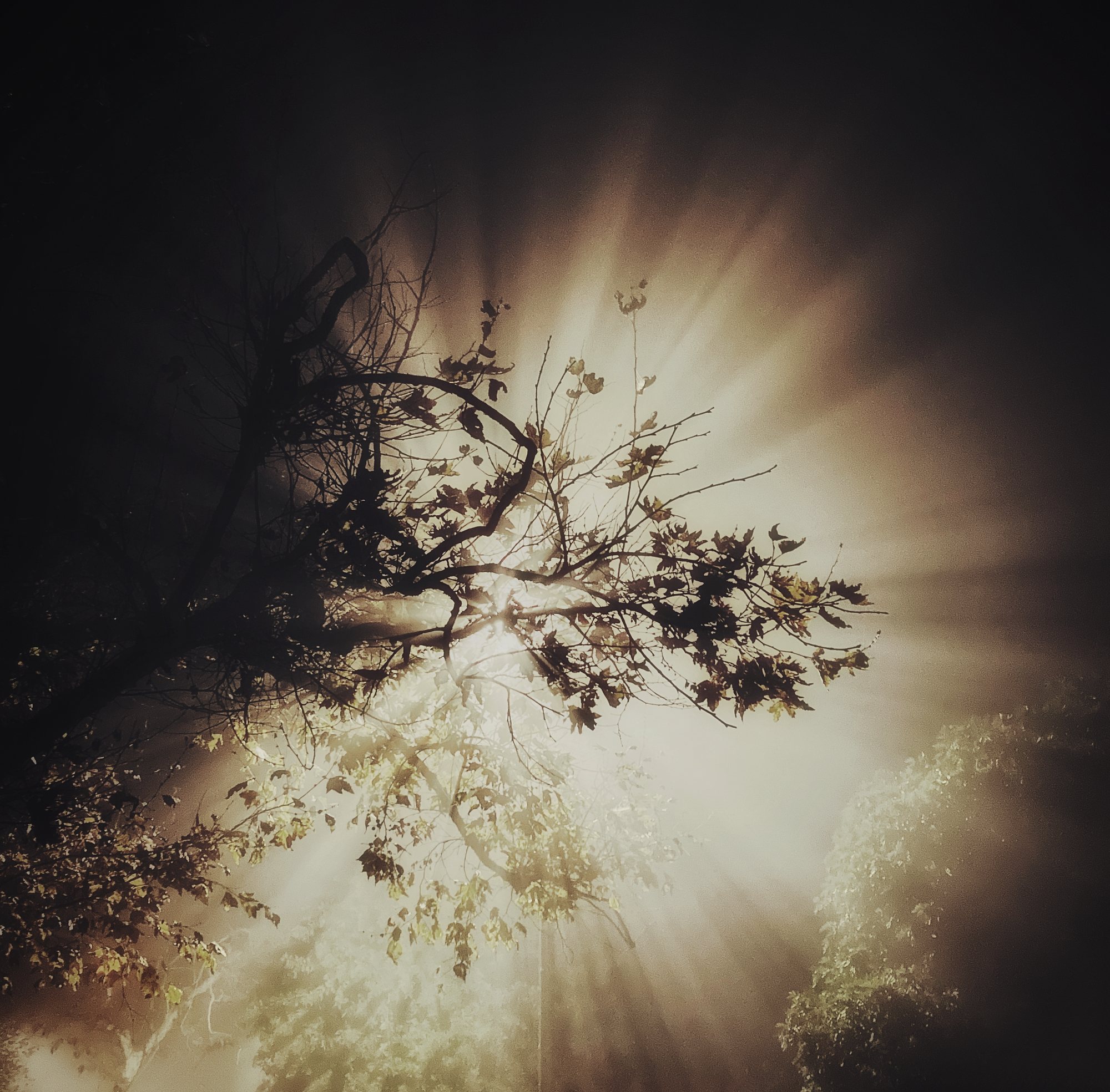 2F27944F-4693-4DF6-A952-D0492131F1F4.png