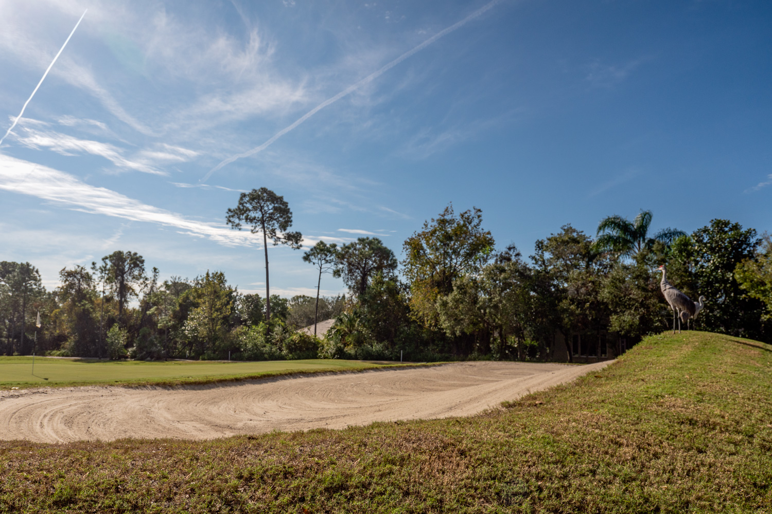 349 Hammock Oak - 1500px-45.jpg