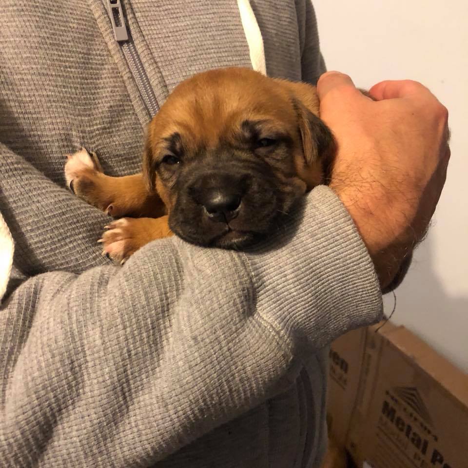 35399890_851353448406744_3601504930109587456_n.jpg 35399890_851353448406744_3601504930109587456_n.jpg