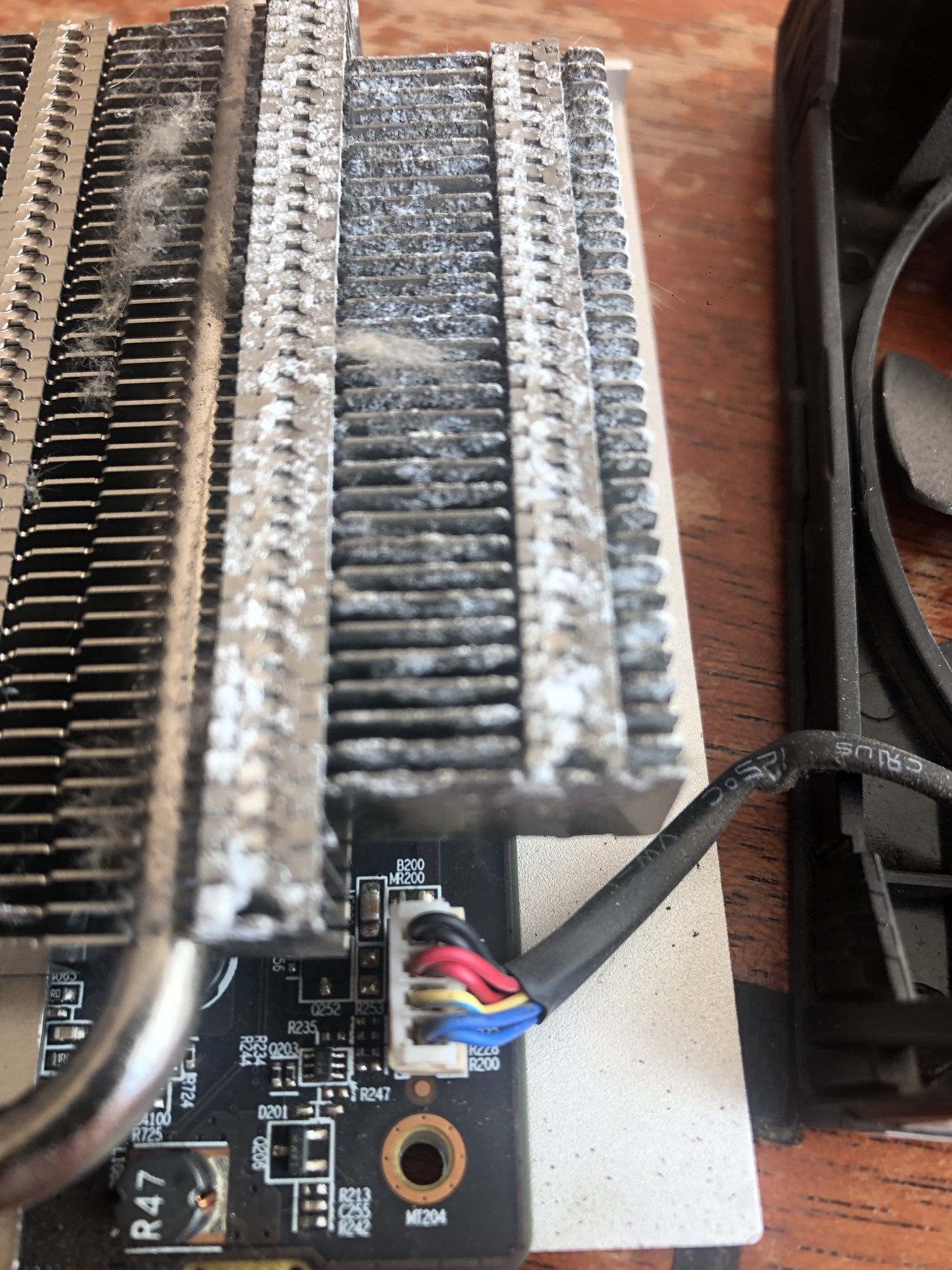 35C10E5E-2BAC-411F-B87F-F619B67480D4.jpeg