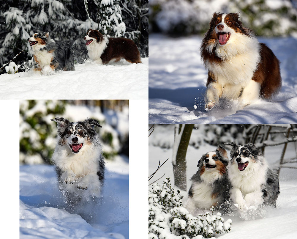 3_Aussies_Snow_Day.jpg