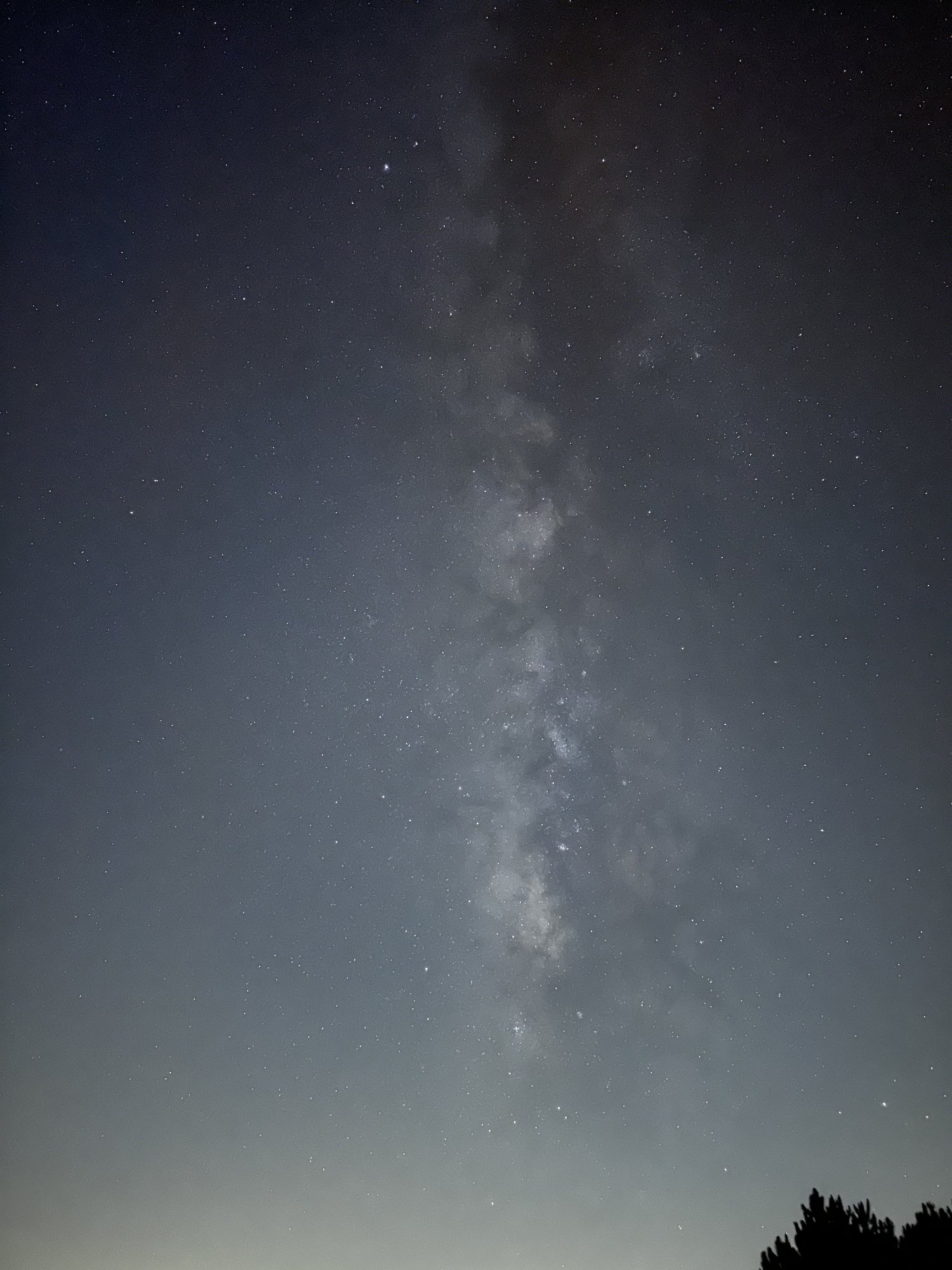 3C3C38B6-4060-4832-991B-40589E71669C.jpeg