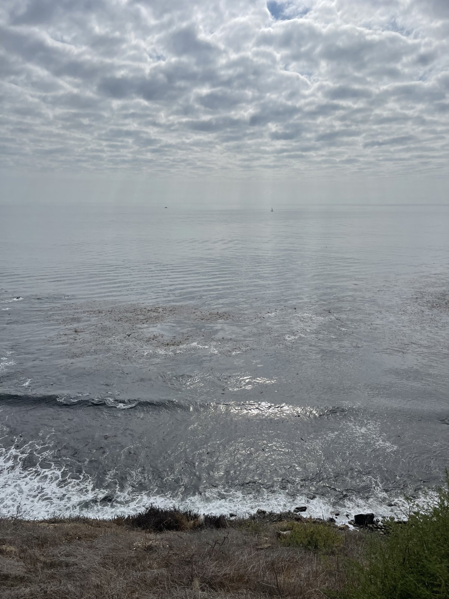 3E136217-244C-4706-9C3A-B6D862433178.jpeg