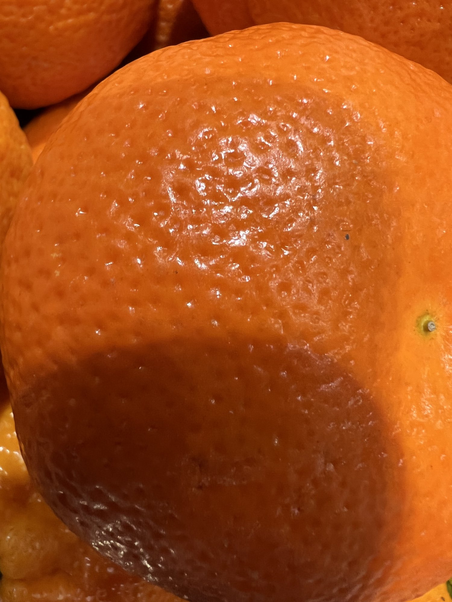 4308712E-226F-4B76-A4EA-640A3A577697.jpeg