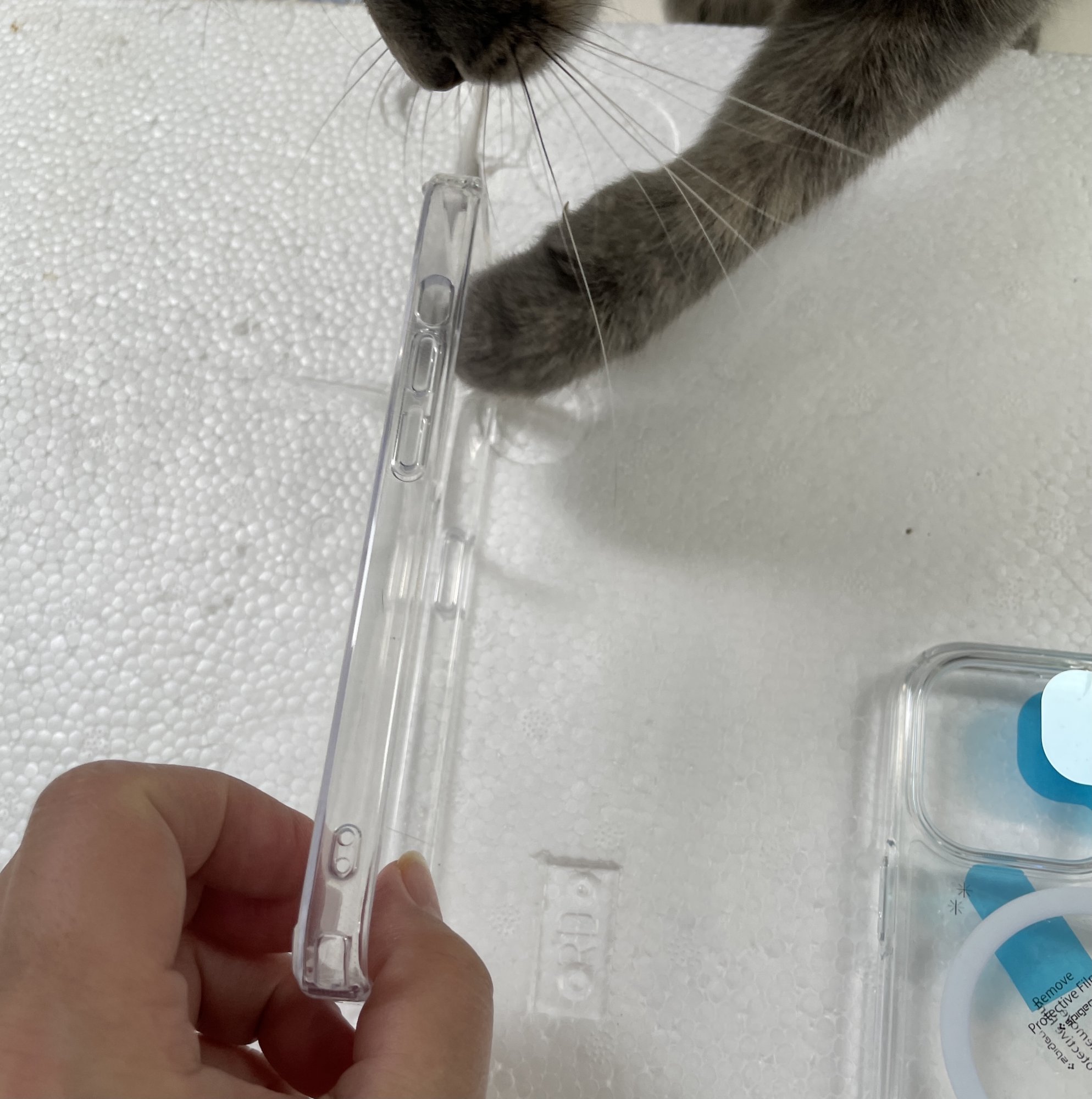 43F91FF3-9715-4E01-A5B0-7956B2E1232B.jpeg