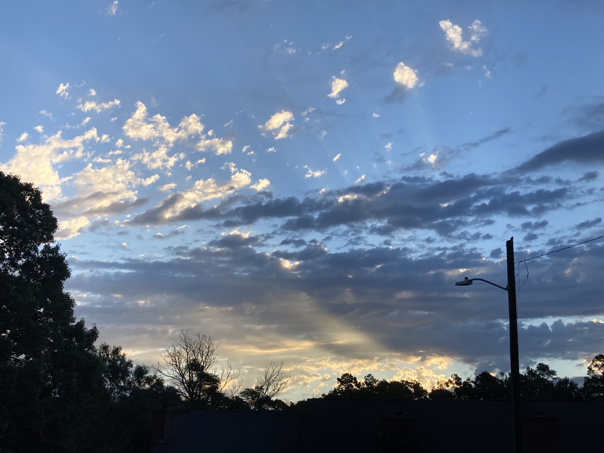 45903409-7C18-460E-BB24-E386B91BB2E4.jpeg