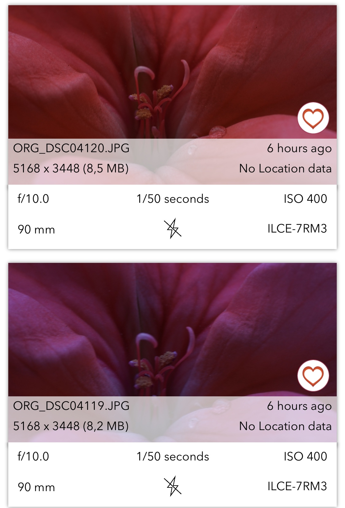 47D4F207-E263-480B-9453-AD57CFBD2783.jpeg 47D4F207-E263-480B-9453-AD57CFBD2783.jpeg