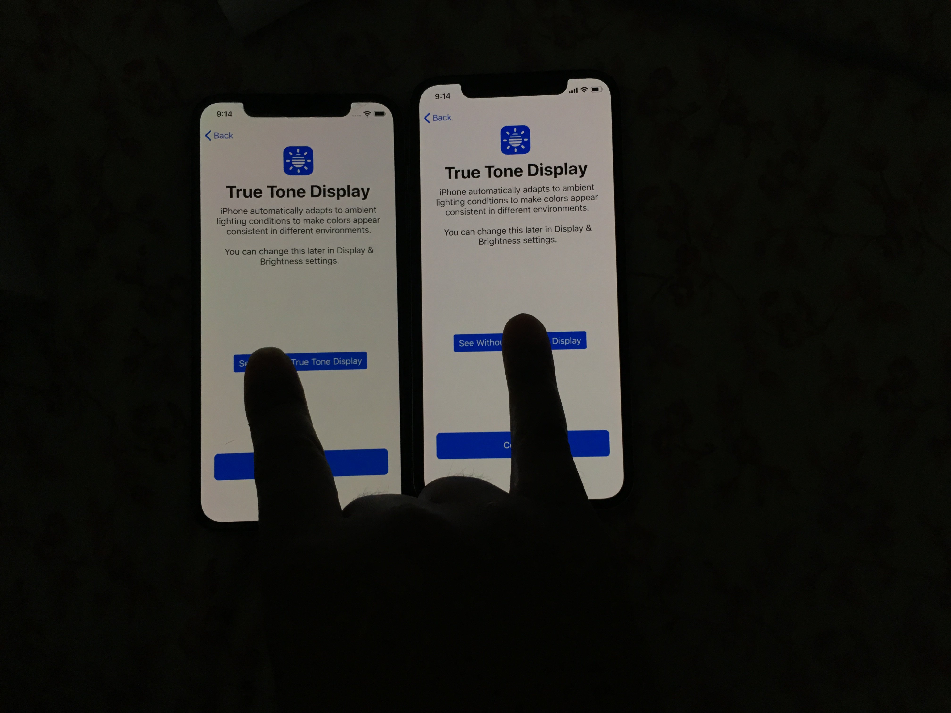 4B145367-038C-4425-BD0D-4AA1702C9ADE.jpeg