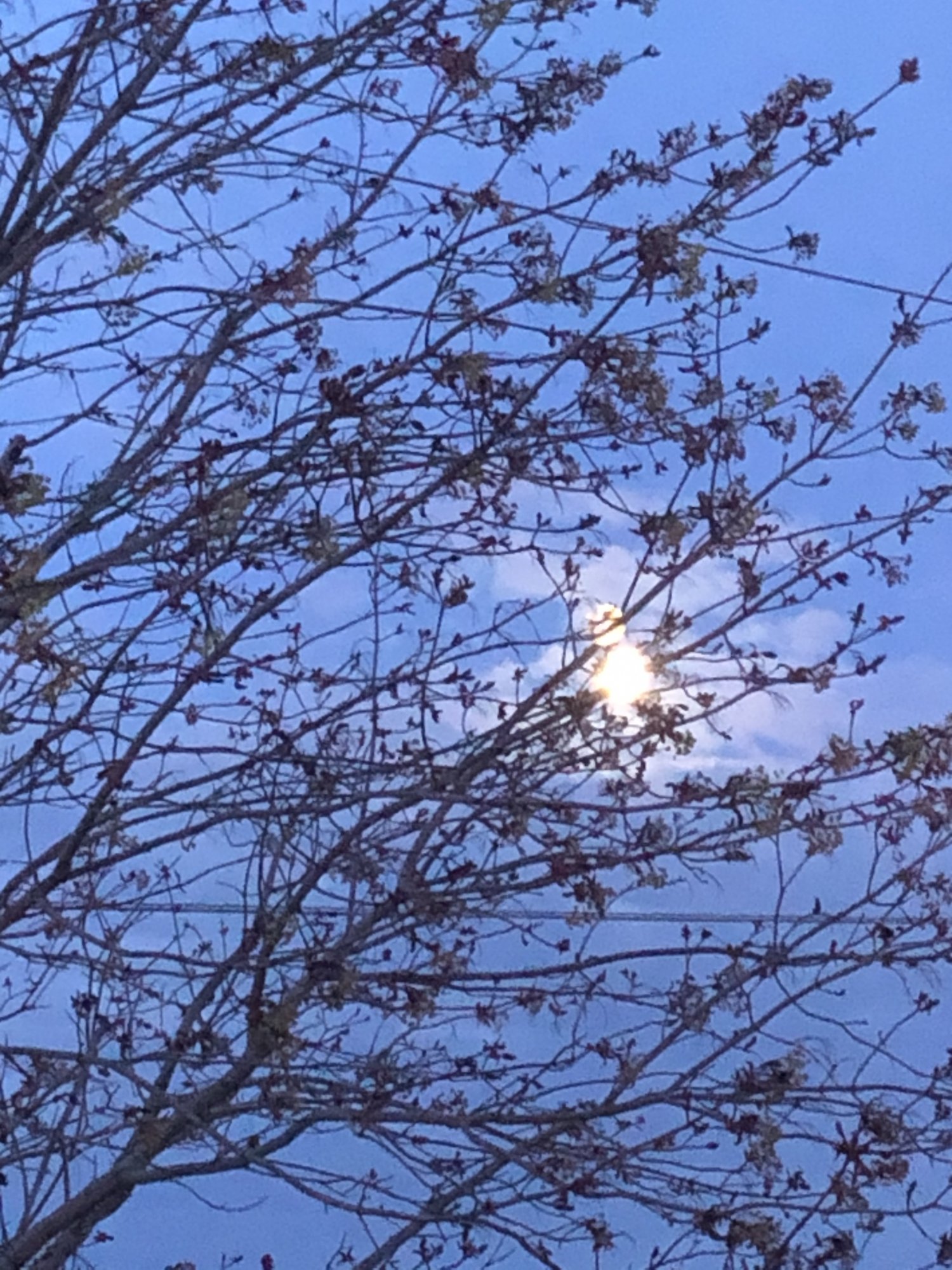 4FD2D7FF-7844-417F-A654-CE6562DB71D9.jpeg