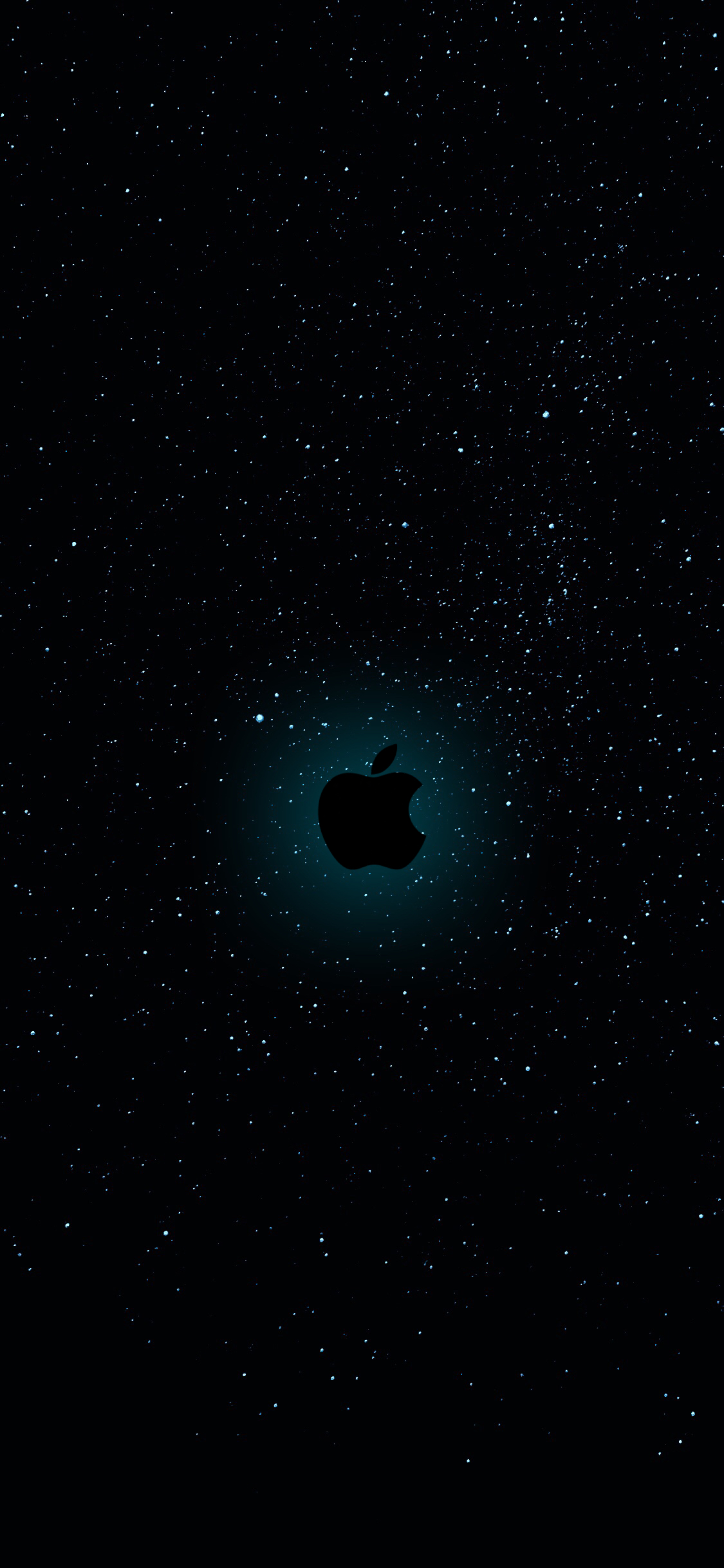 541D85C2-54E7-497B-889B-947268C0B0AC.jpeg