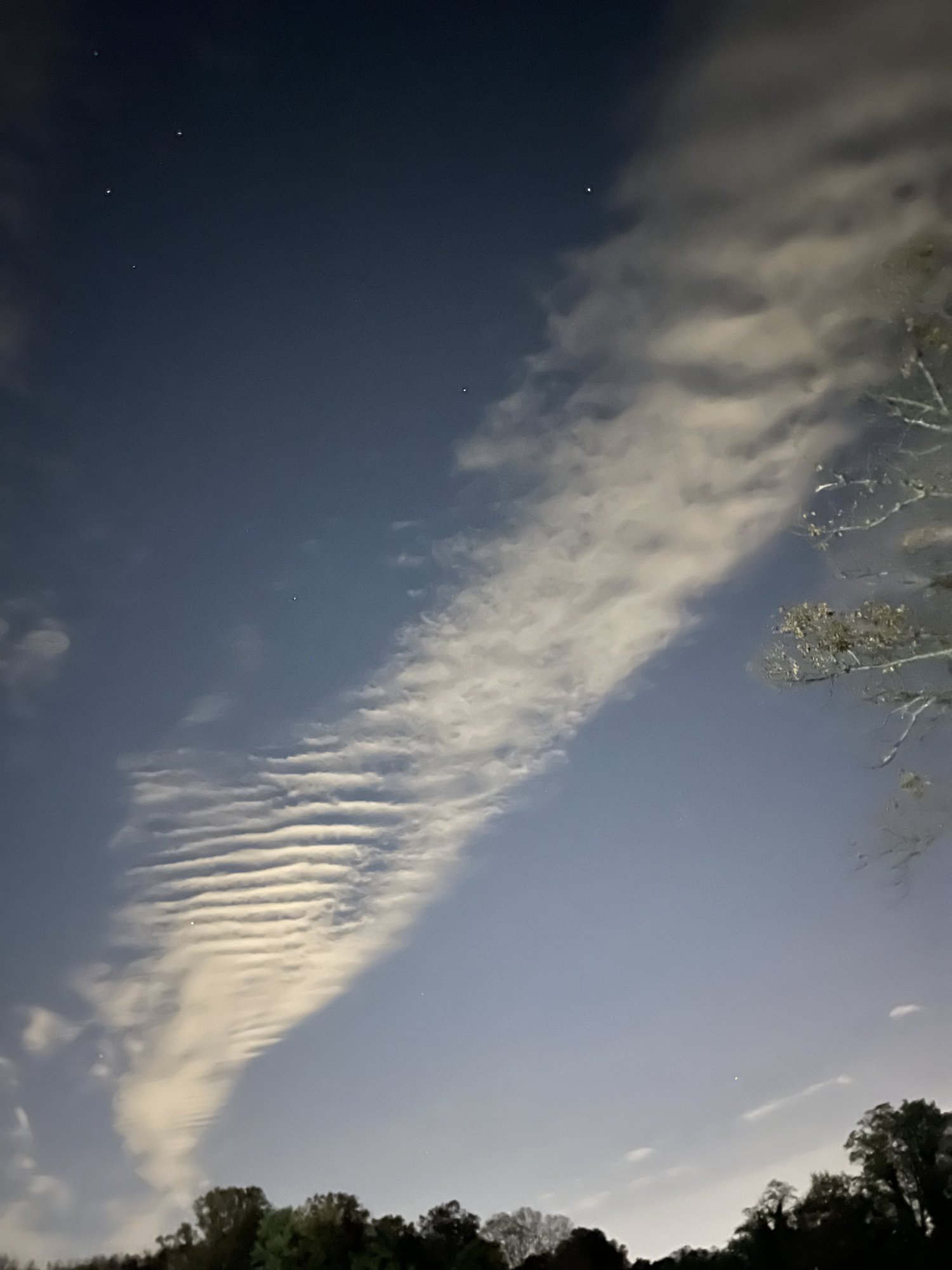 55A909C7-8EB7-4FC4-A484-4DF8141FD20E.jpeg