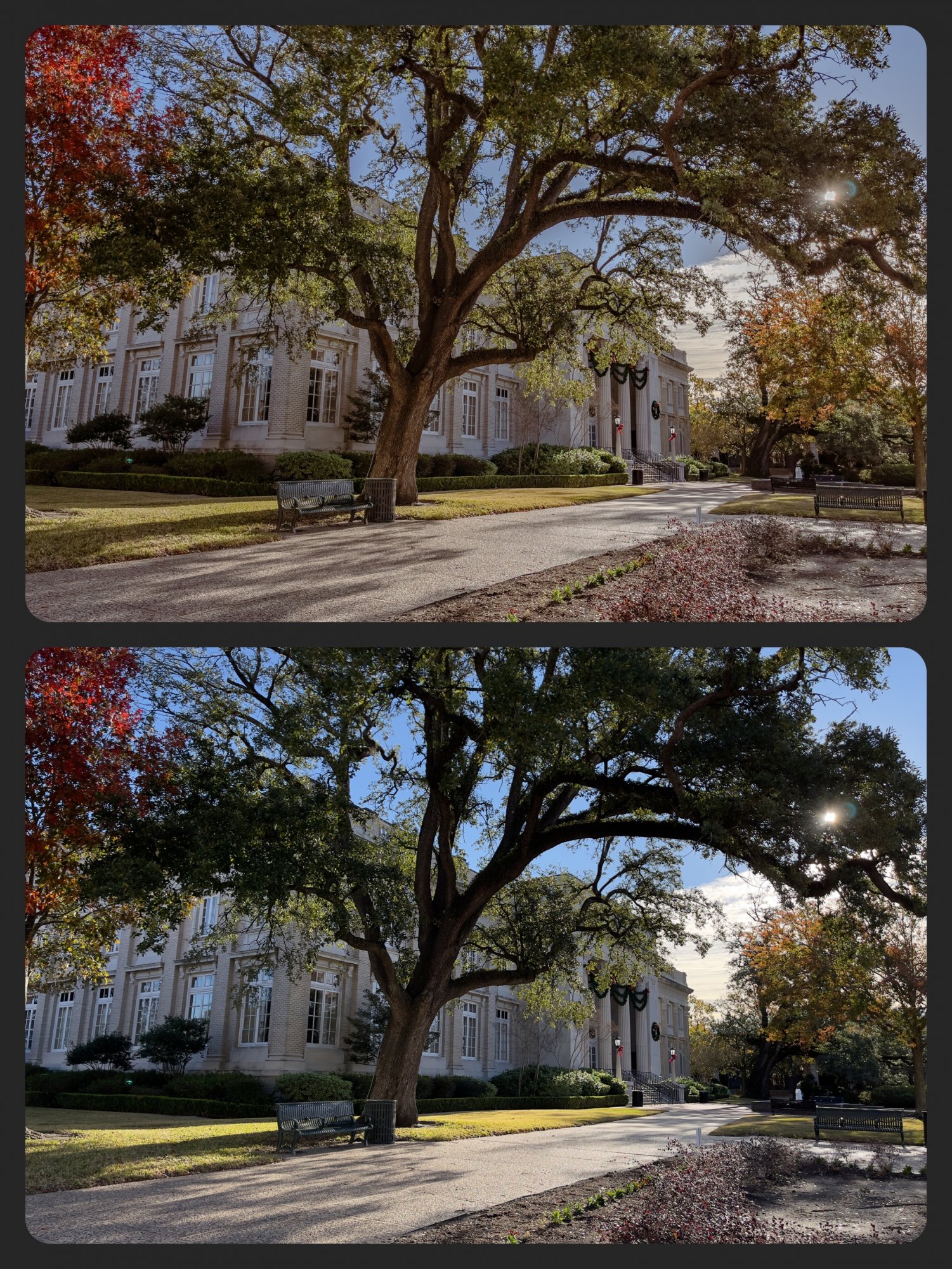 5773D39C-3D66-4DD5-A6F1-088F85290A8F.jpeg