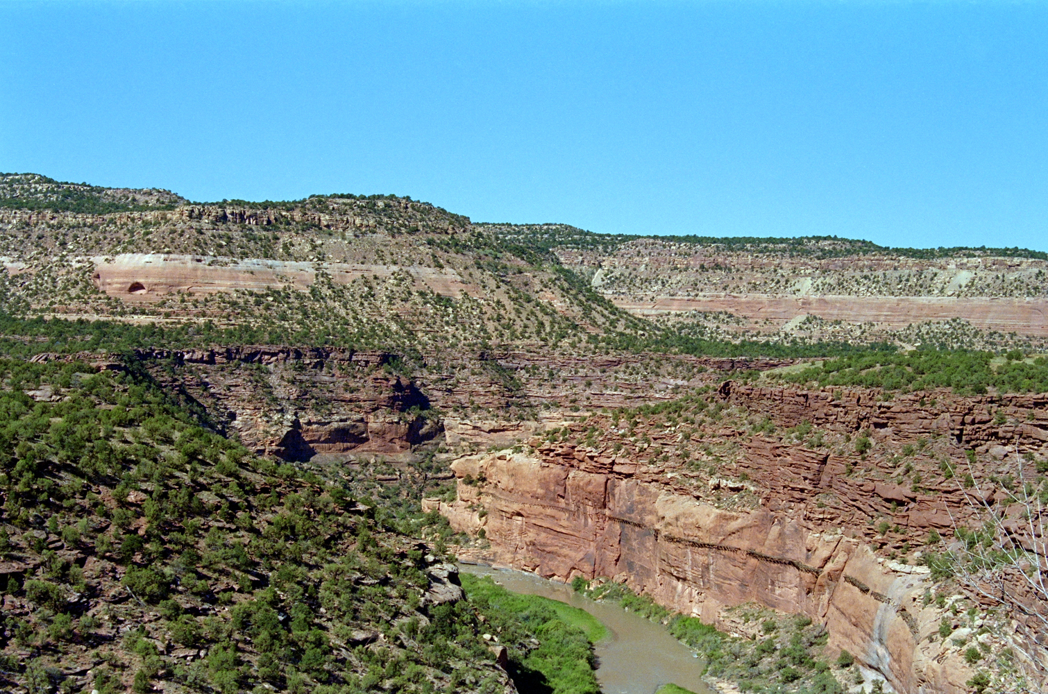 5ADSC_0189.jpg