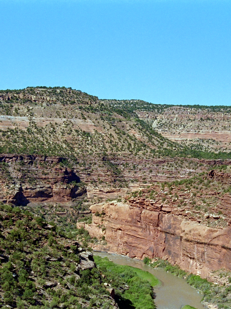 5BDSC_0189.jpg