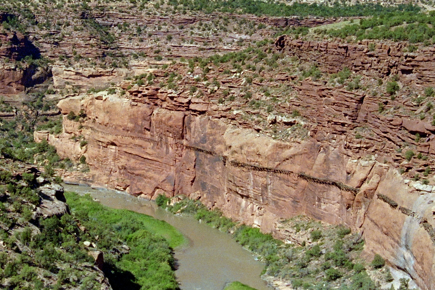 5DDSC_0189.jpg