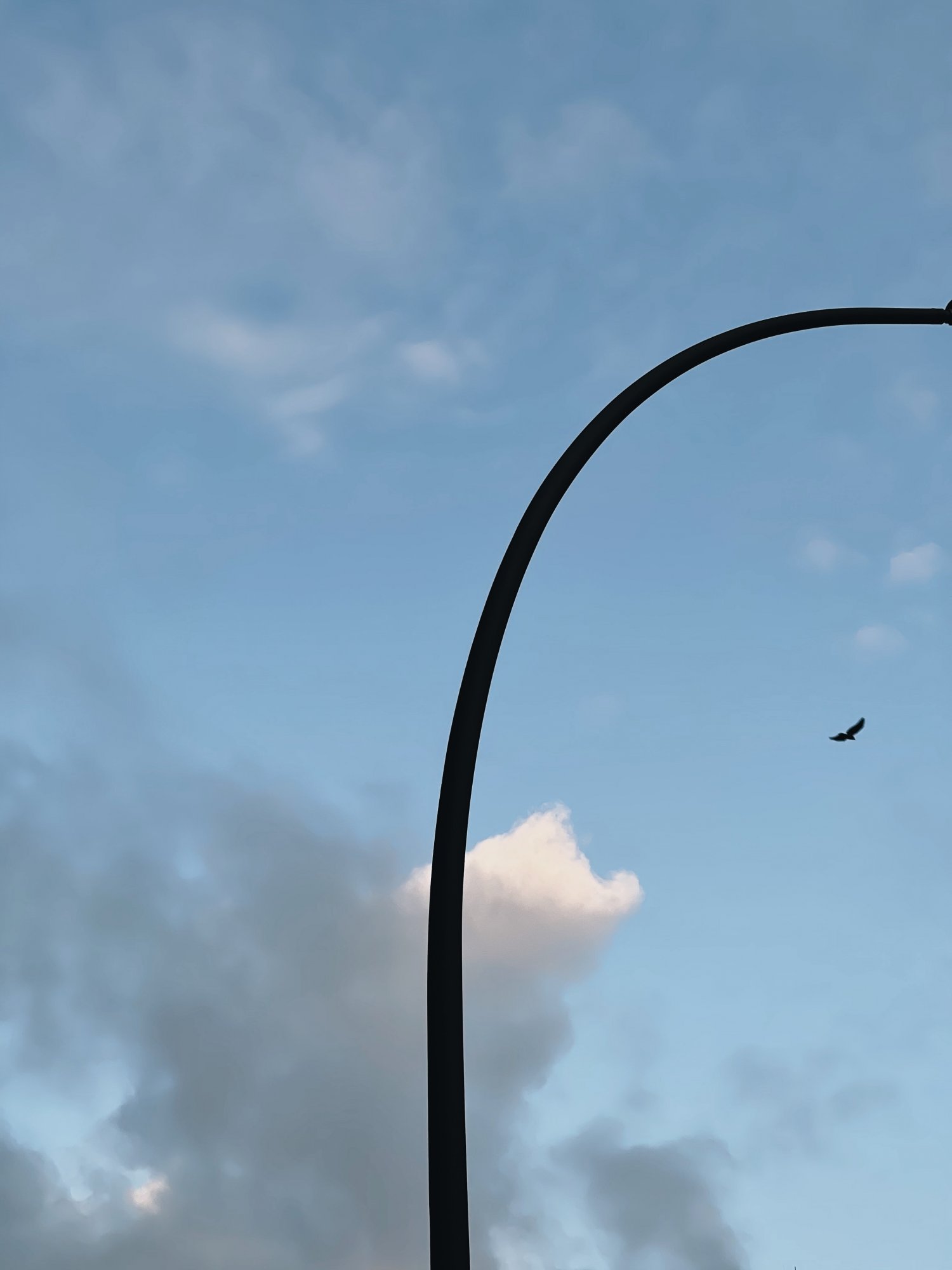 6D6F51E8-27A1-4B5E-AF35-B35A8B8C3EDB.jpeg