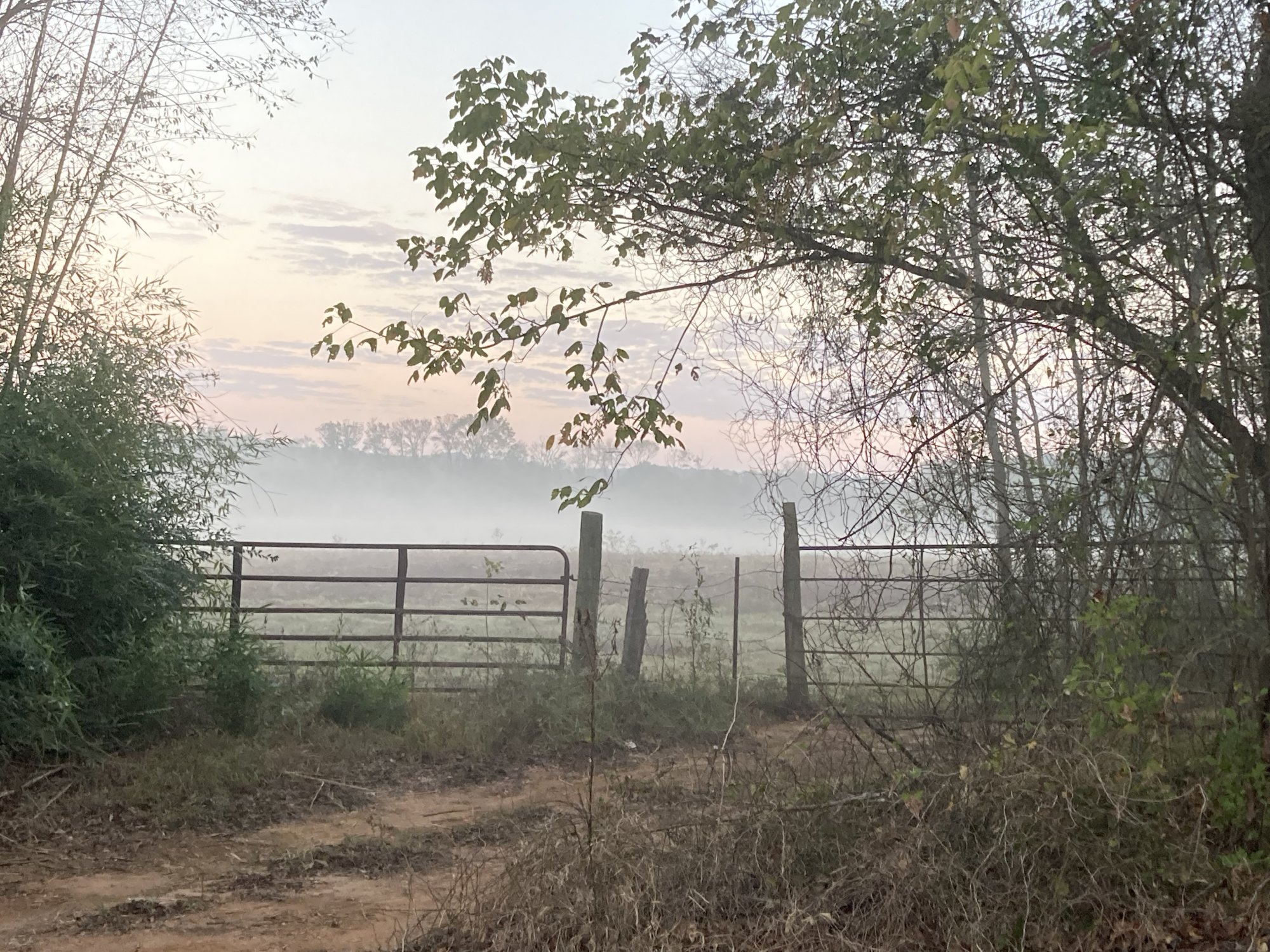 6F052676-097D-4C2C-9454-776CE78AEA7D.jpeg