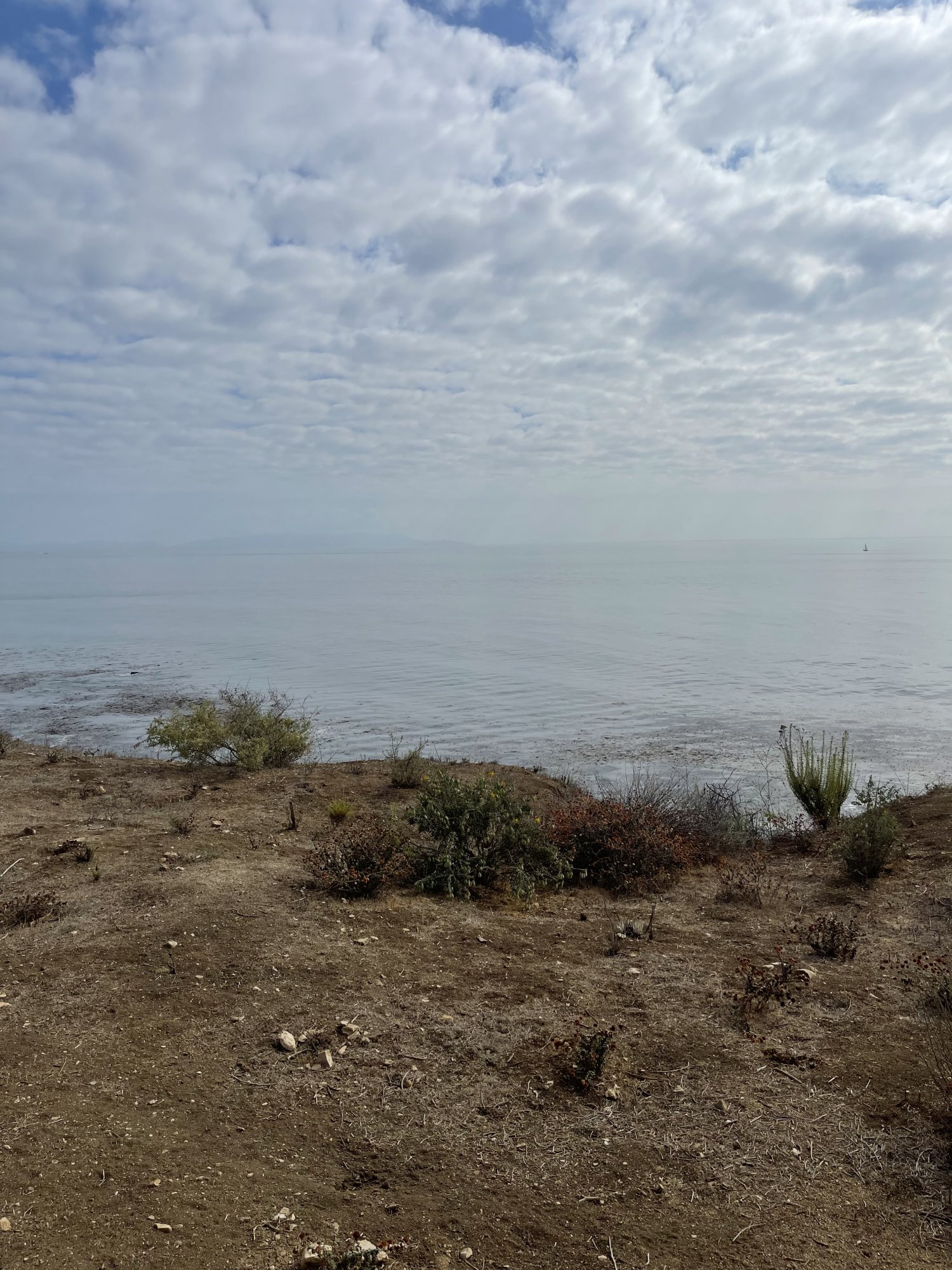6F3E86DE-1A05-4266-BD8C-D749270A7C17.jpeg