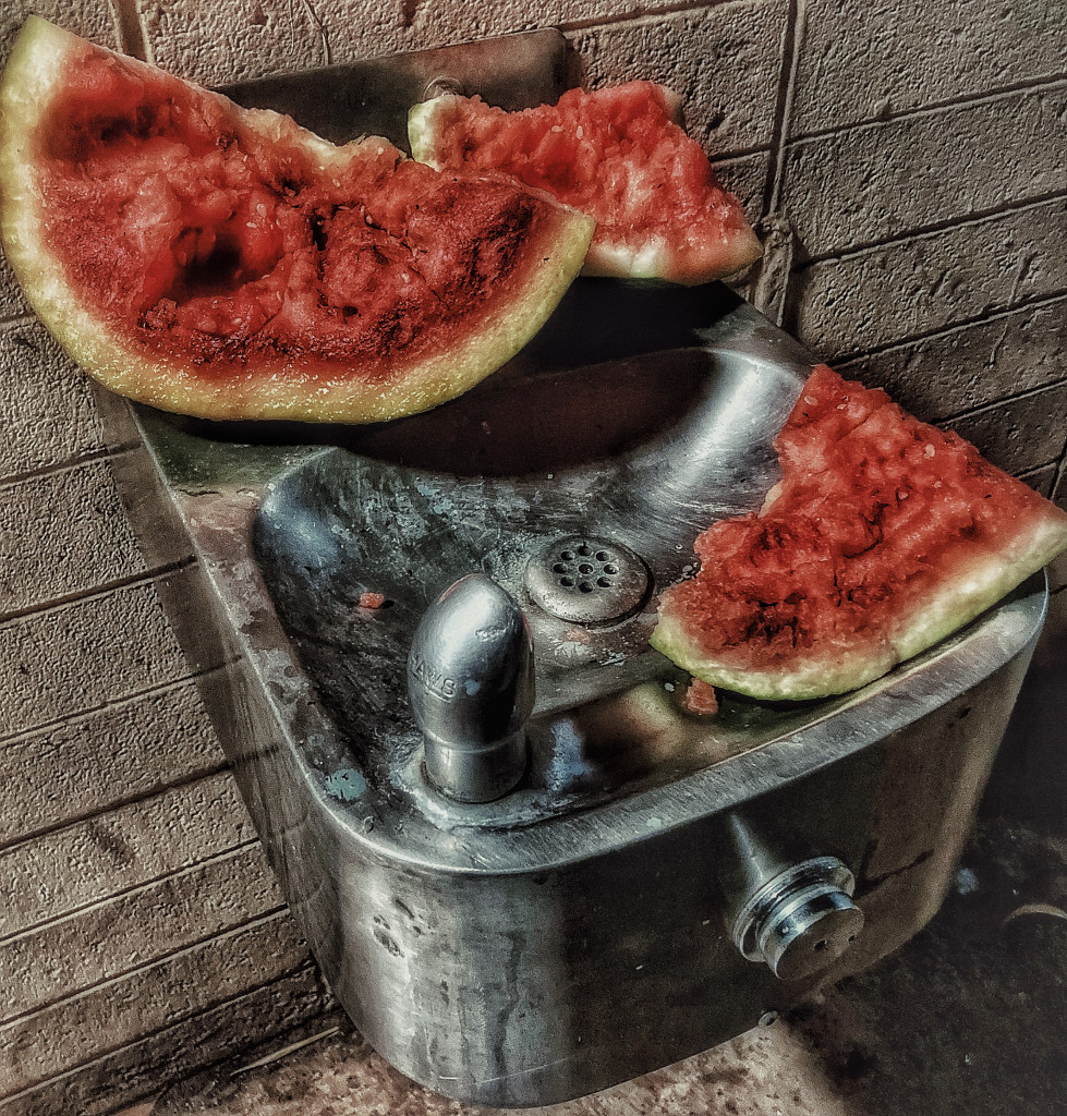 6FD333DB-CACE-4F92-8529-D56EDB9448C0.jpeg
