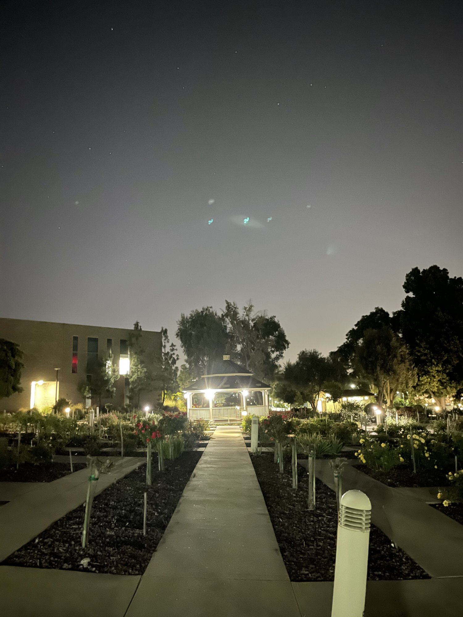 7121E358-2CC8-423D-BC0F-6936B7C86753.jpeg