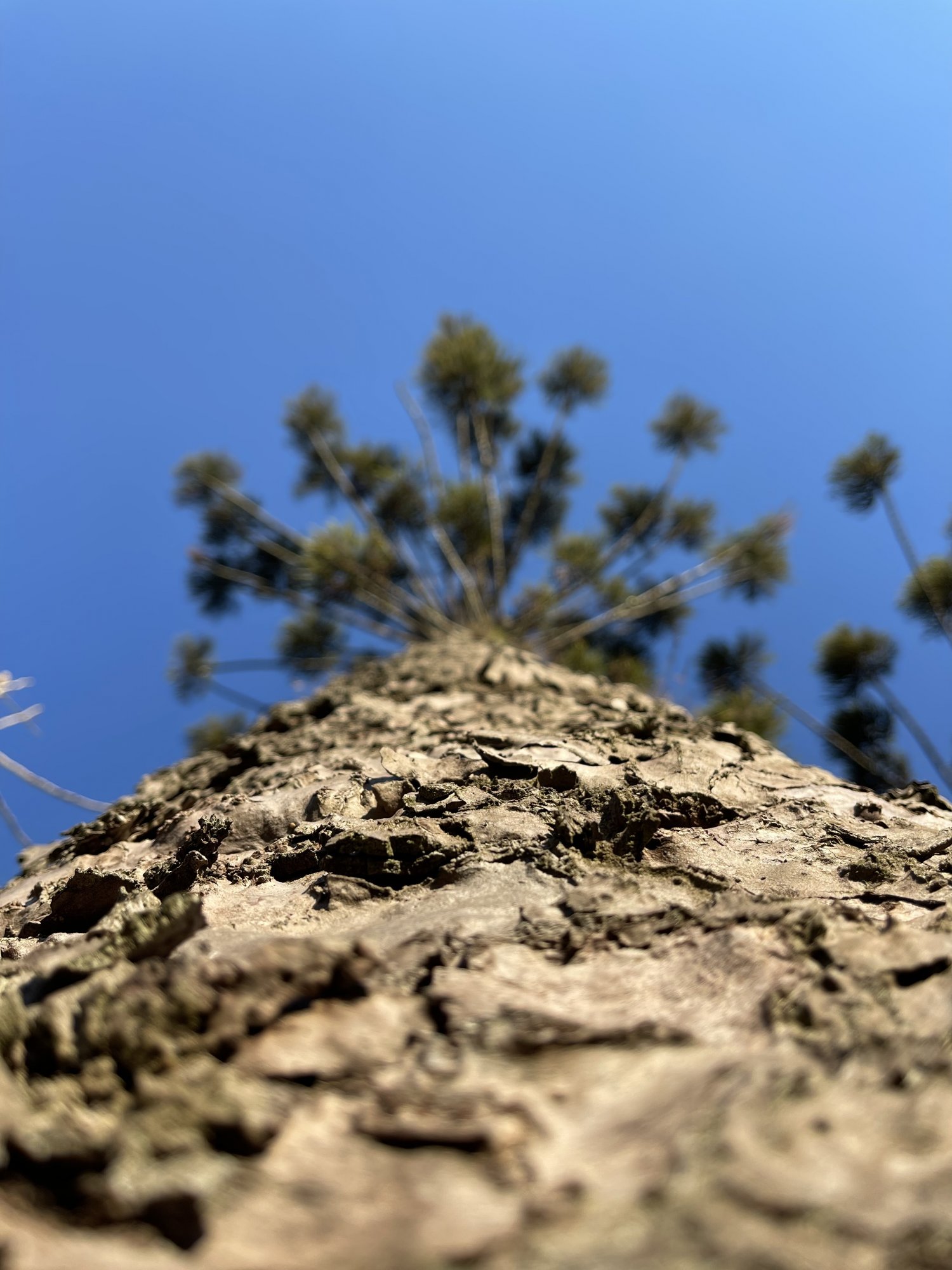 75117BA7-9DDF-4B60-A803-8F15EDDA68C7.jpeg