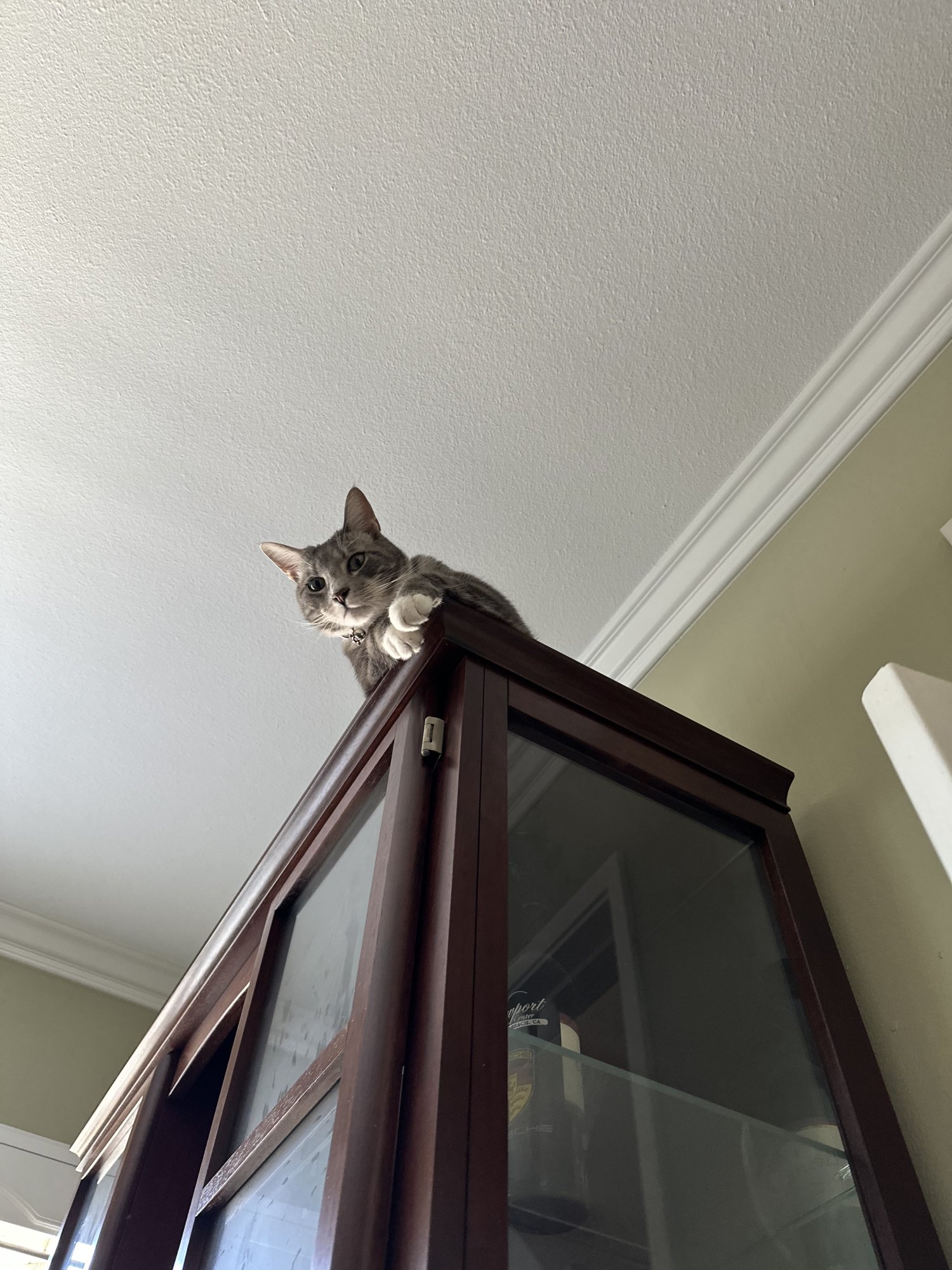 76411652590__69BF5D44-FA2B-4F30-933E-EA599DE461B5.jpeg