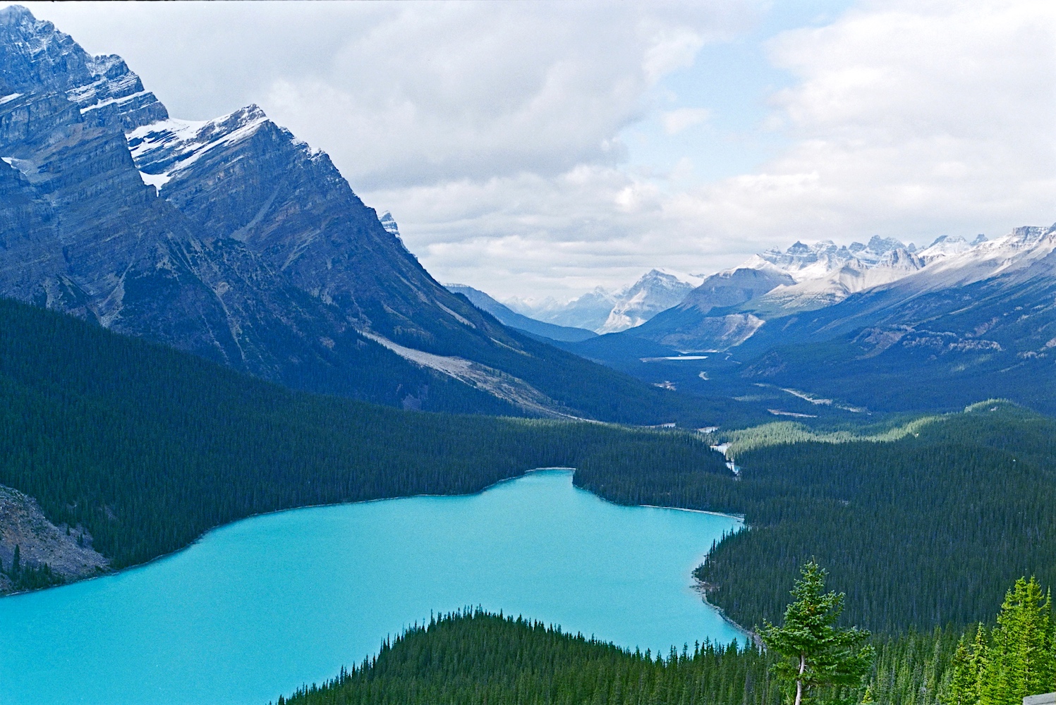 87RT2_17_364A2.jpg