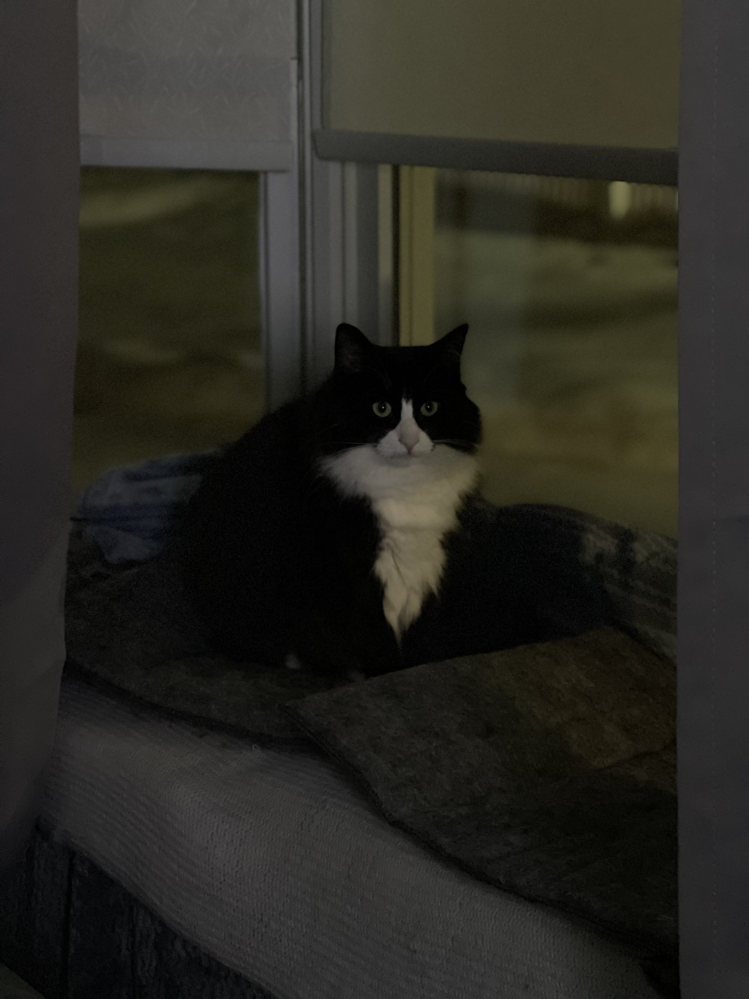 881E1434-BF28-490C-8CC1-FBEA3D346CE4.jpeg