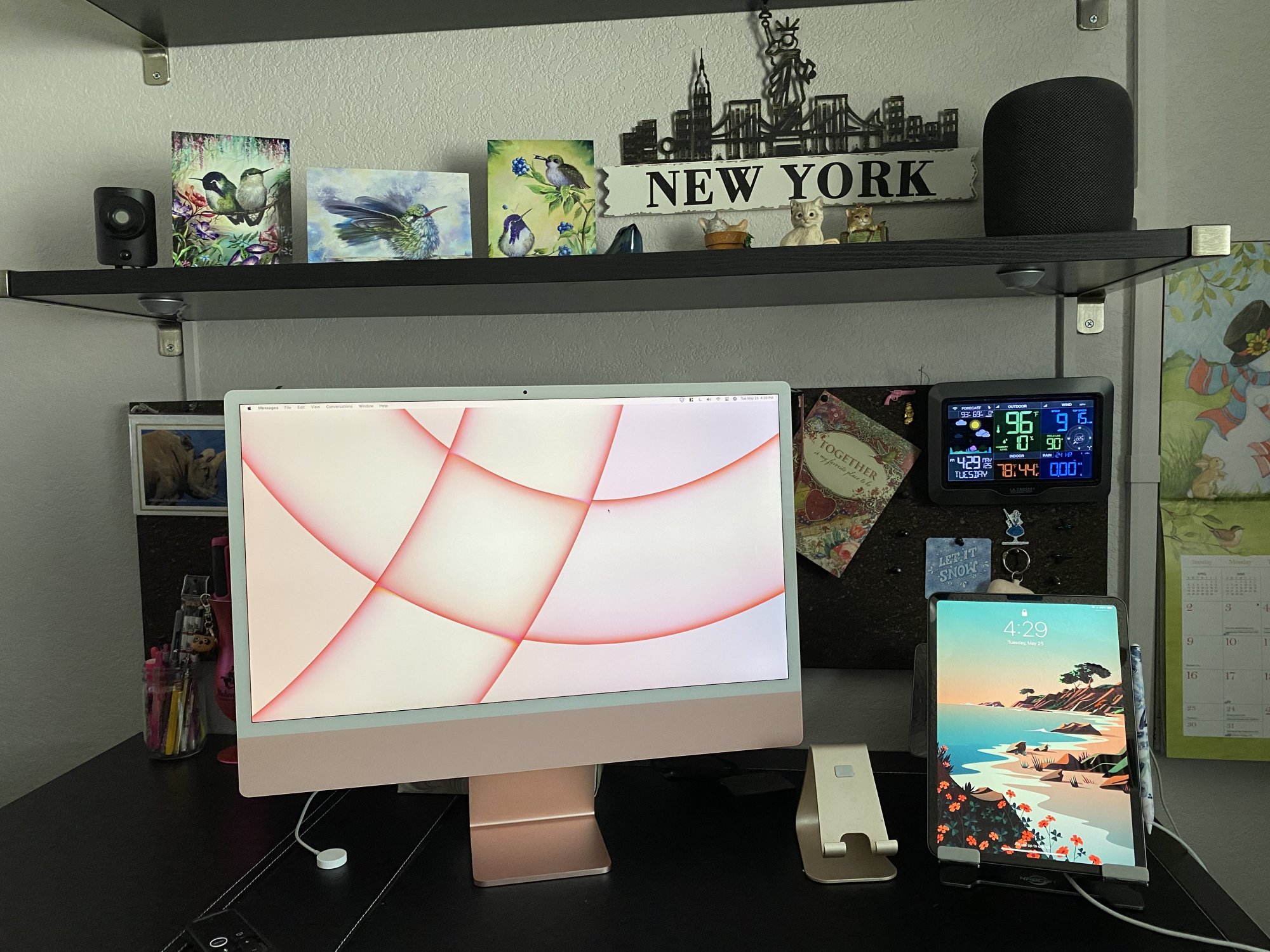9681013A-0A3D-4D4C-A081-1CBC33F6B608.jpeg