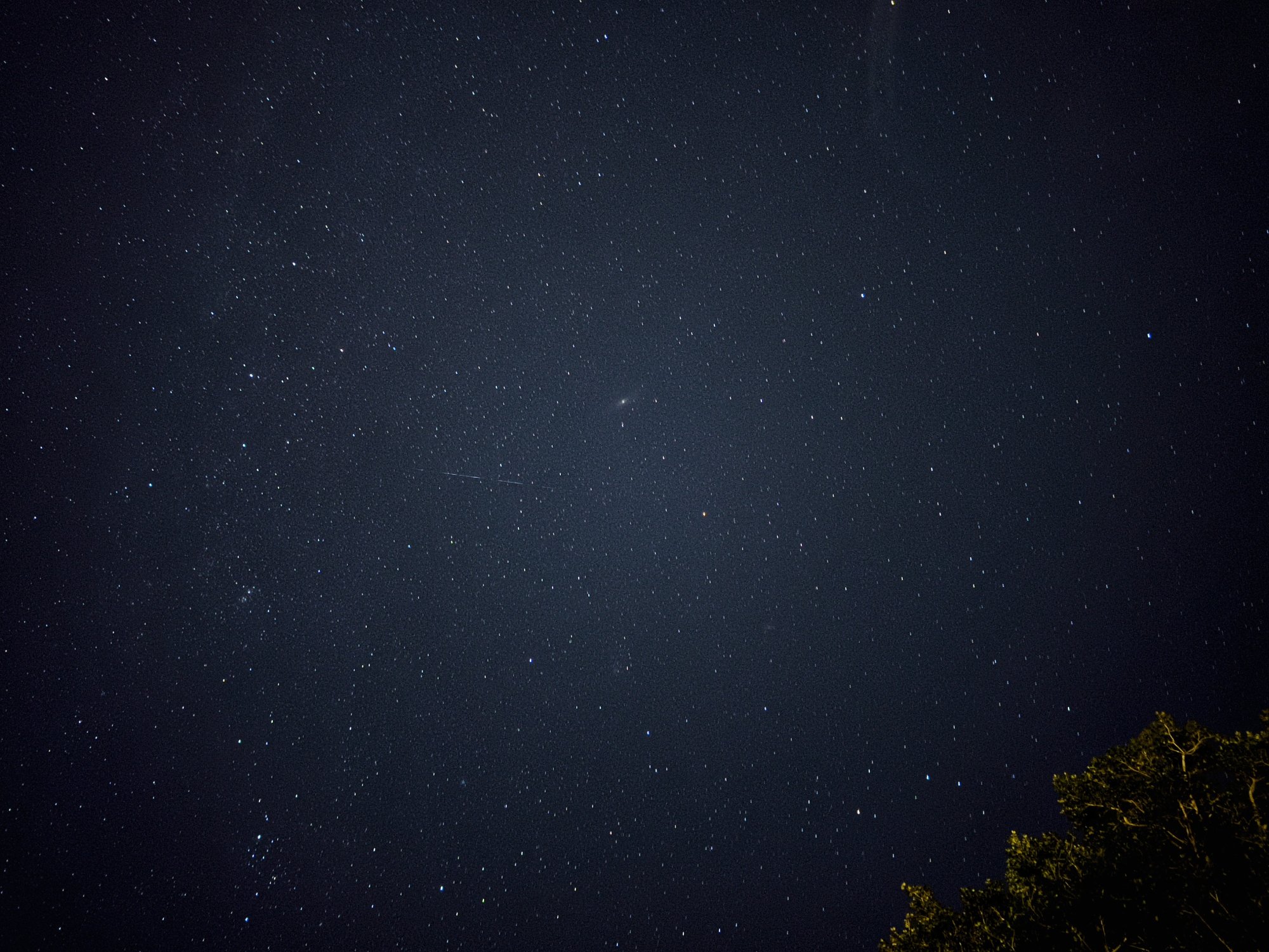 96CA1B1A-AC9A-446D-BB8B-55C4734B6085.jpeg