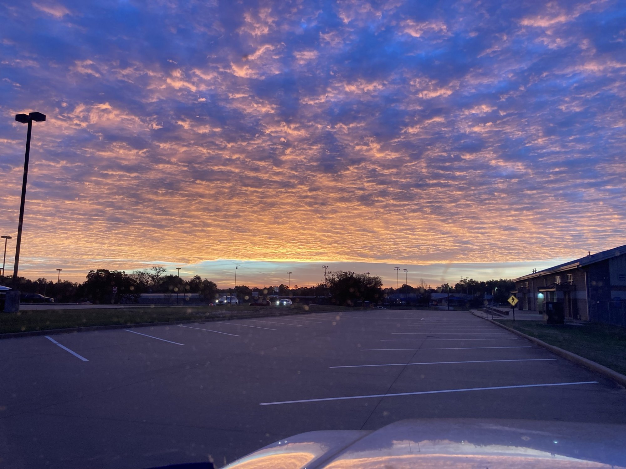 99F49A1A-3E71-4A6B-853C-873756C3666D.jpeg