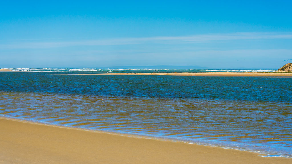 _7RV0302_Murray_Mouth.jpg