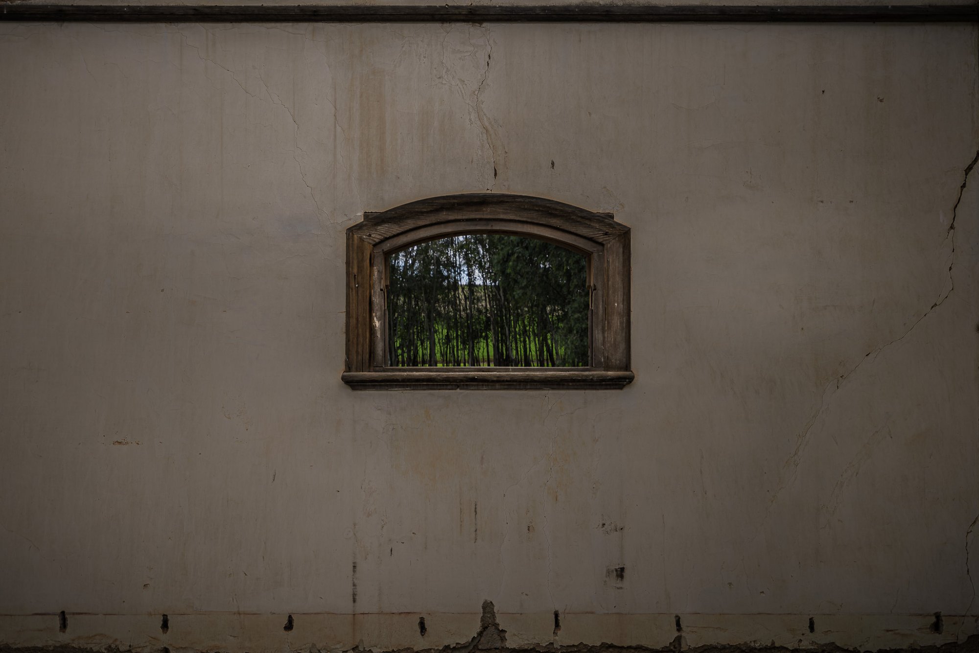 _DSC1268.jpg _DSC1268.jpg