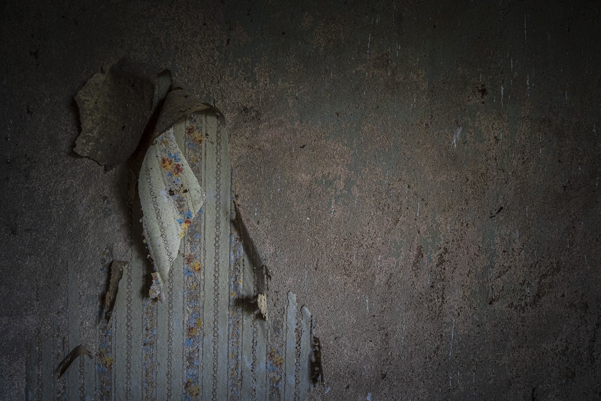 _DSC1305.jpg _DSC1305.jpg