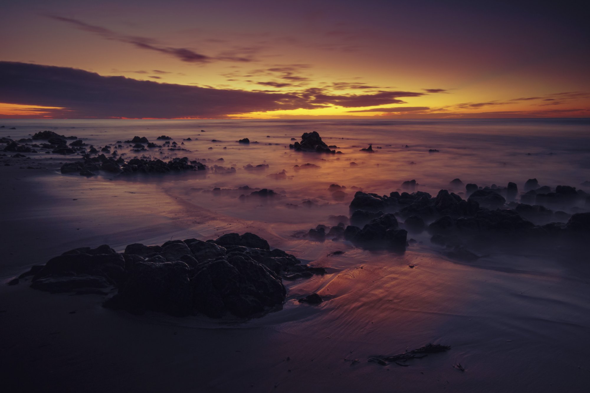 _DSC4447.jpg _DSC4447.jpg