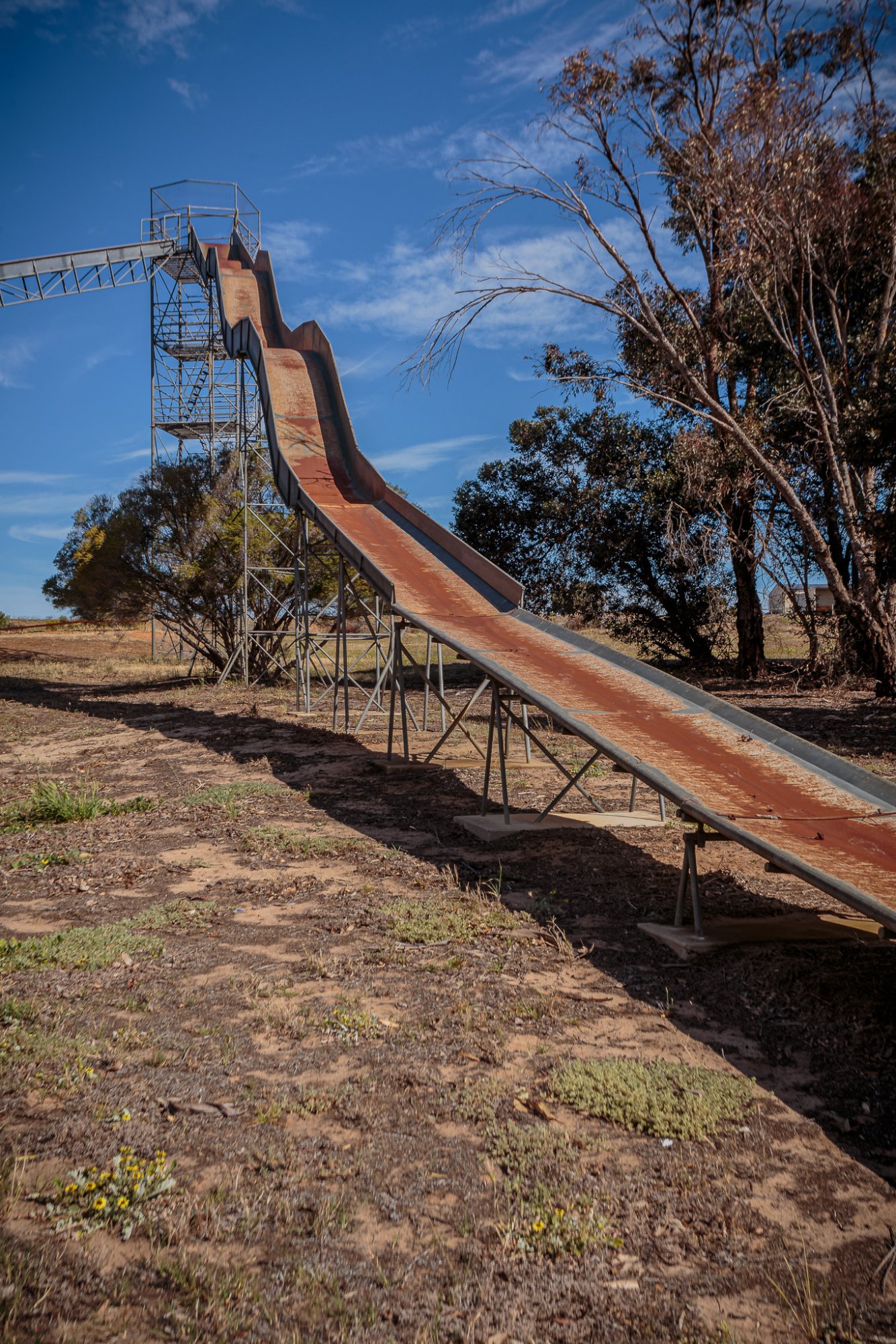 _MG_4931.jpg _MG_4931.jpg