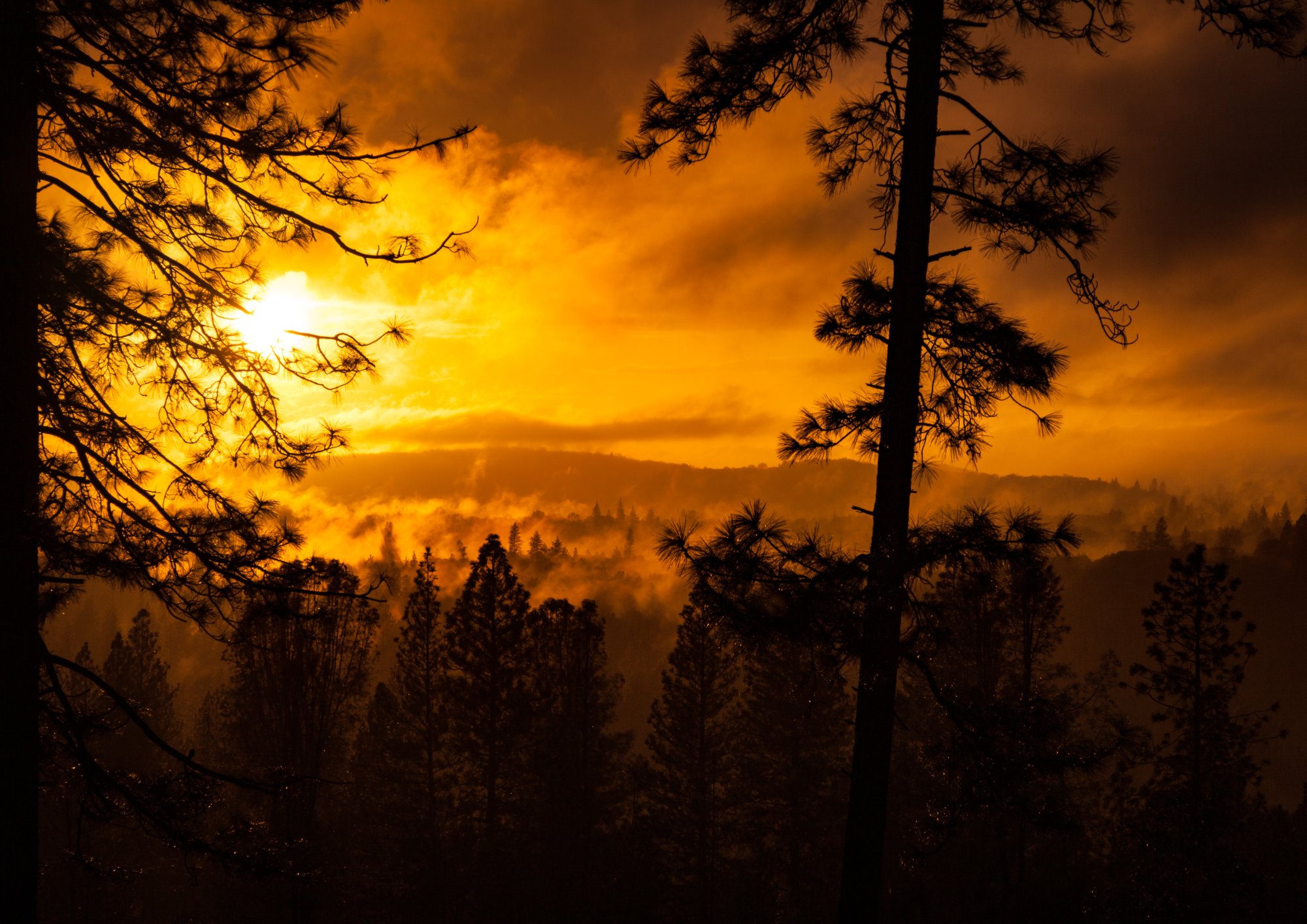 _MG_6367.jpg