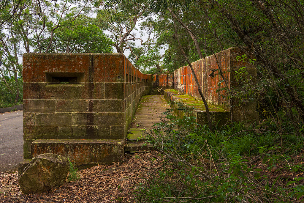 _VII0513_Loop_Wall.jpg