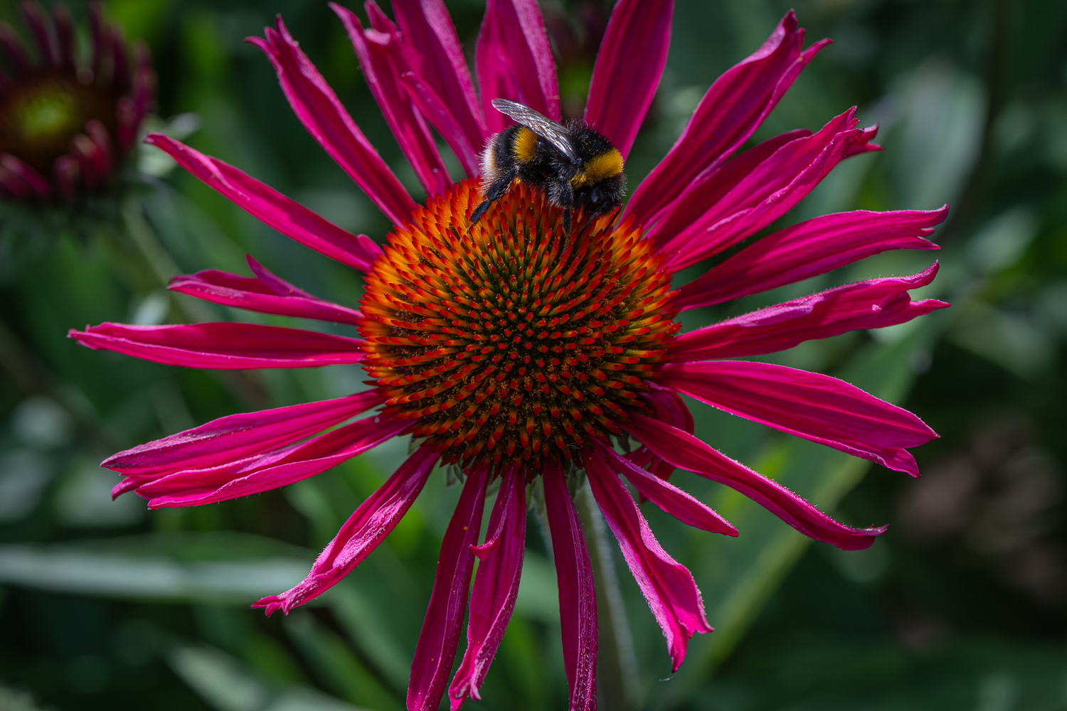 _Z634043.jpg