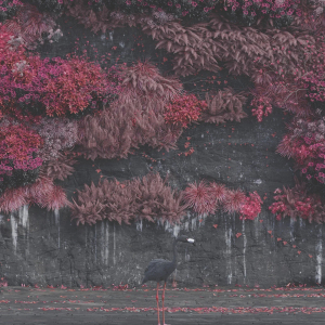 A Even_in_Arcadia.jpg