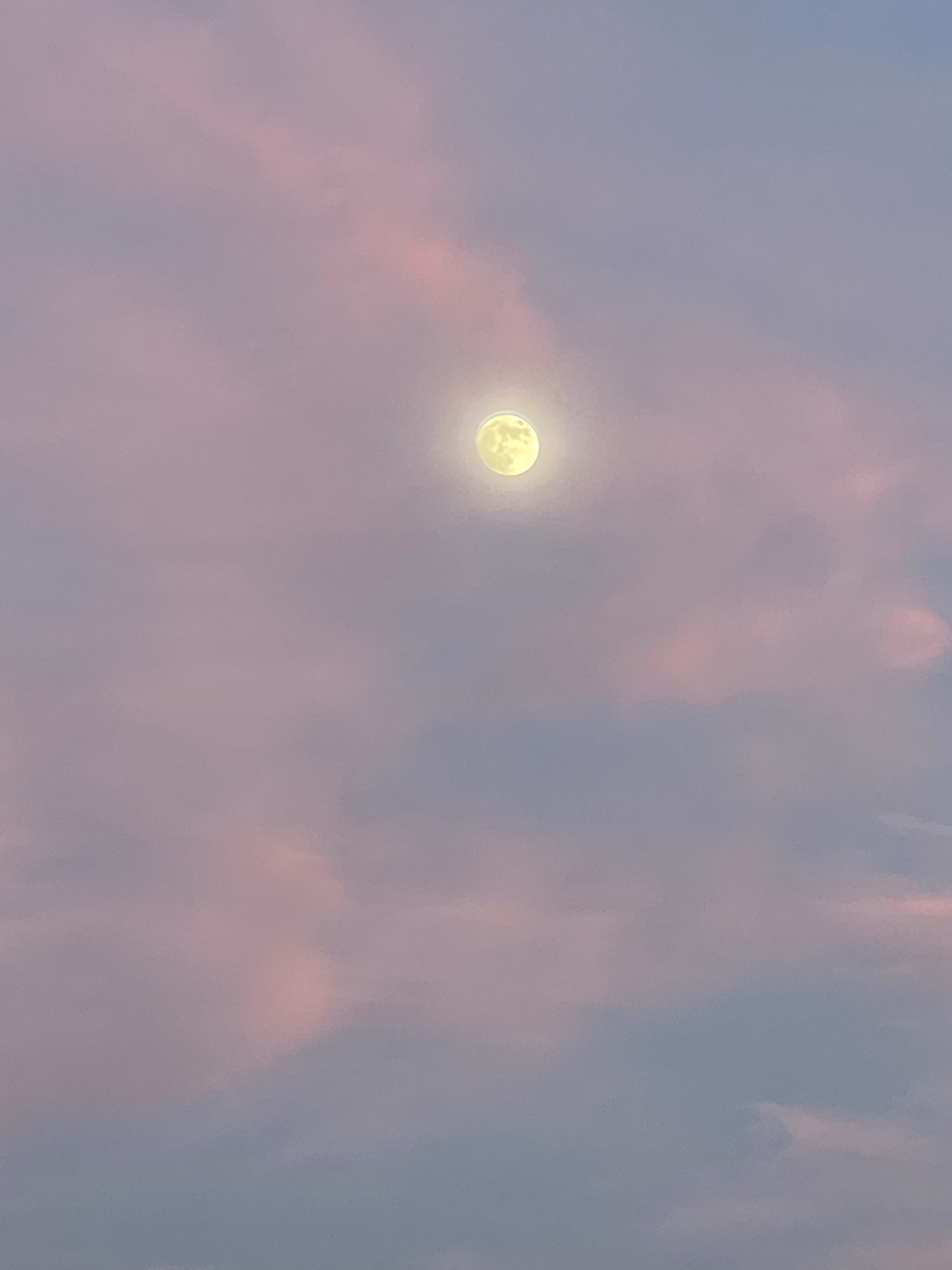 A19C84F2-D8D0-4ED6-88F7-A63635957113.jpeg