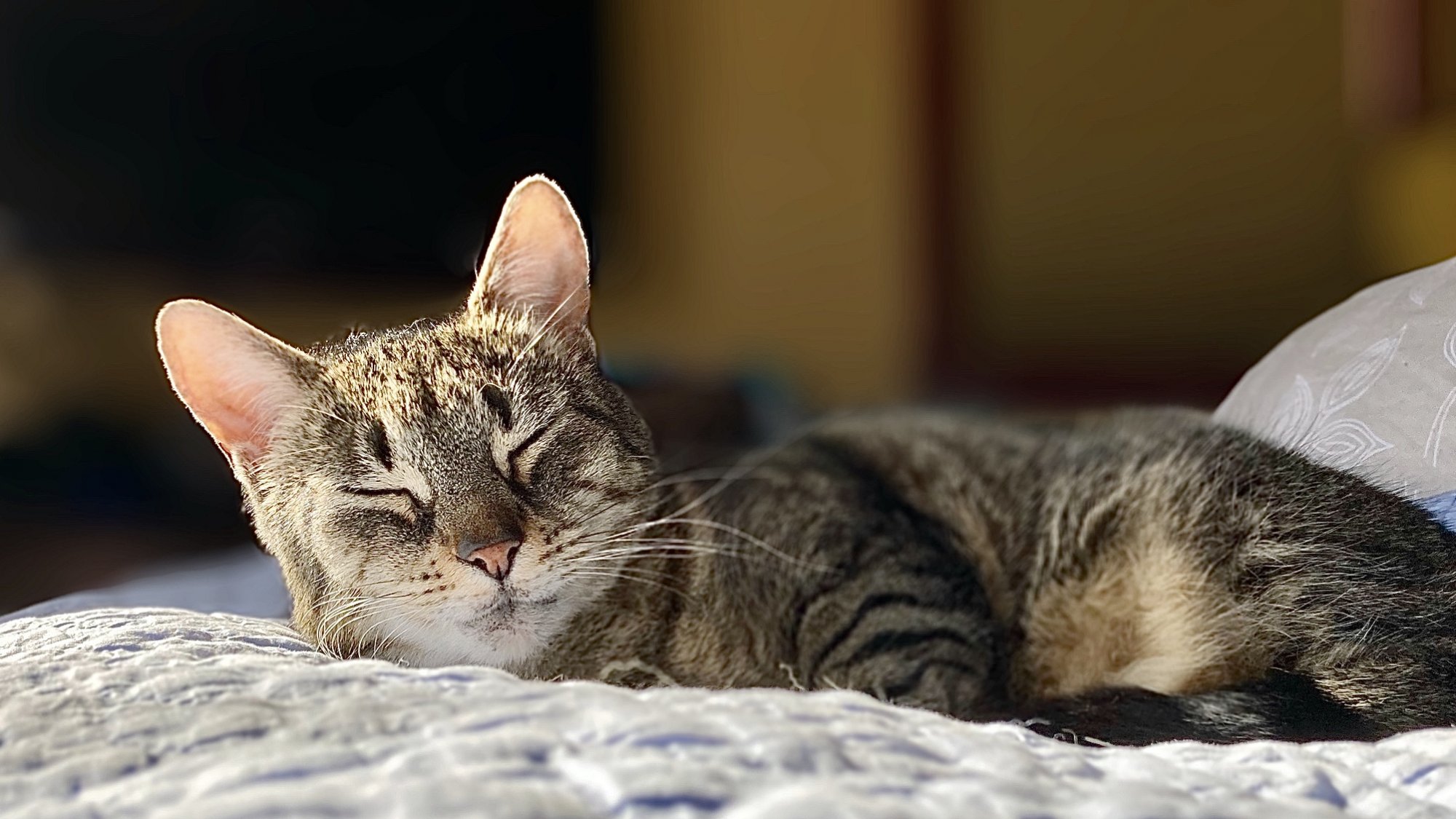 A250E9CB-9471-4184-9355-5D42AC09FC49.jpeg