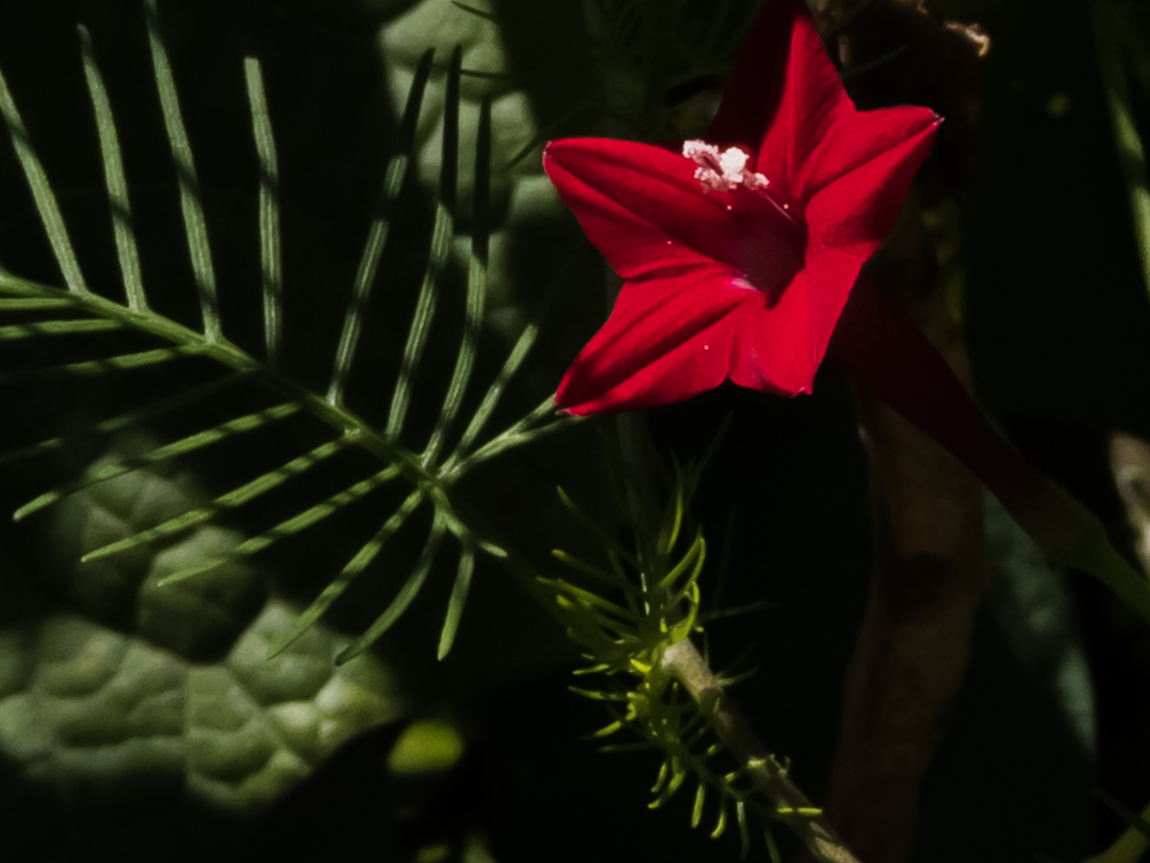 A3E0A053-918D-4364-8B91-B6C34D05F382.jpeg