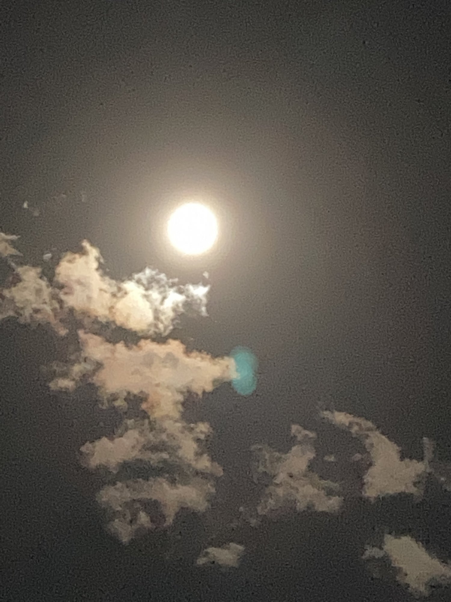 A85CEFCD-1868-4D2F-BB21-8CB59B6596DD.jpeg