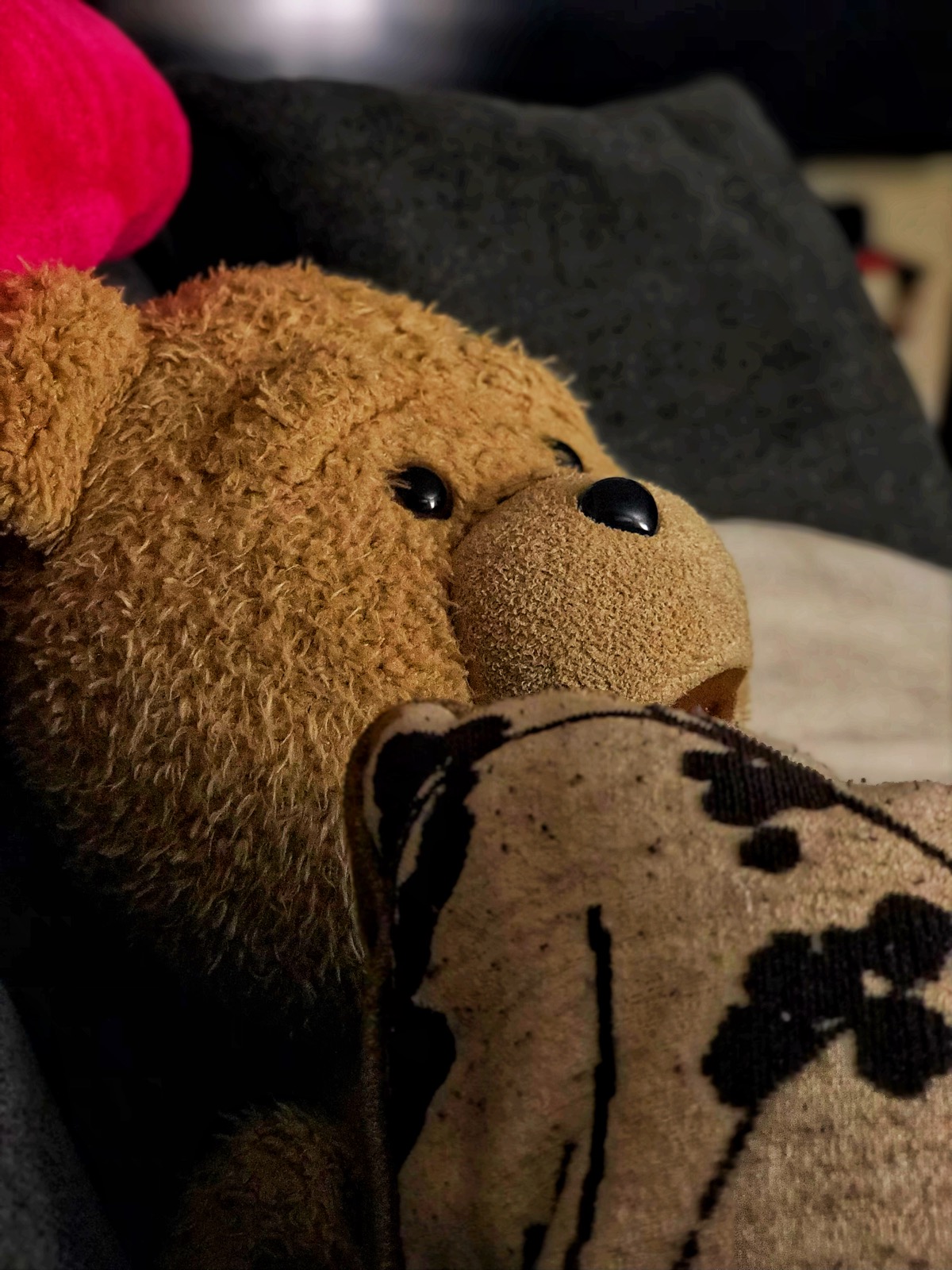 ABF51E7F-3F57-430F-9140-6420139A0366.jpeg