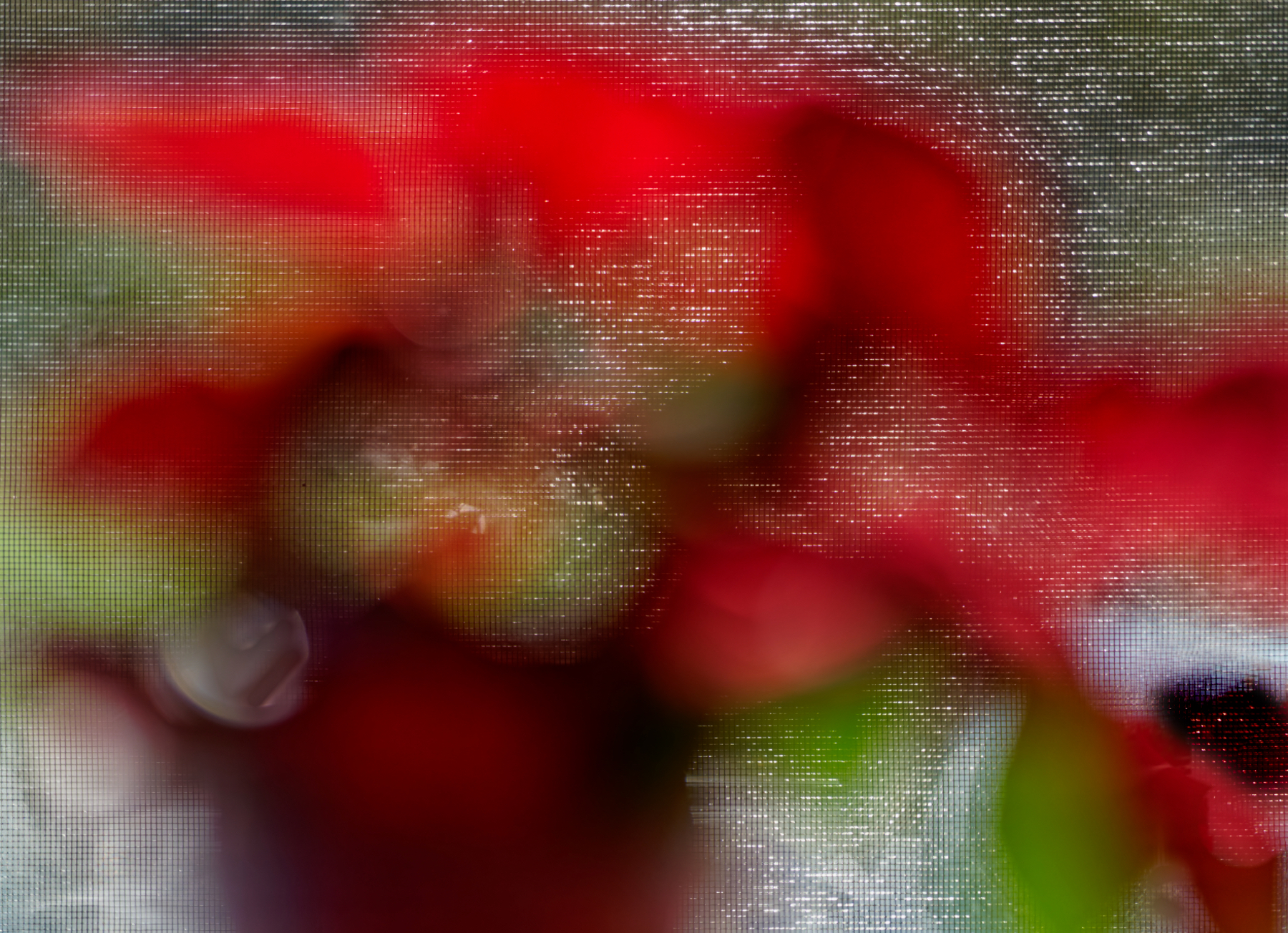 Abstract in Red and Green.jpeg