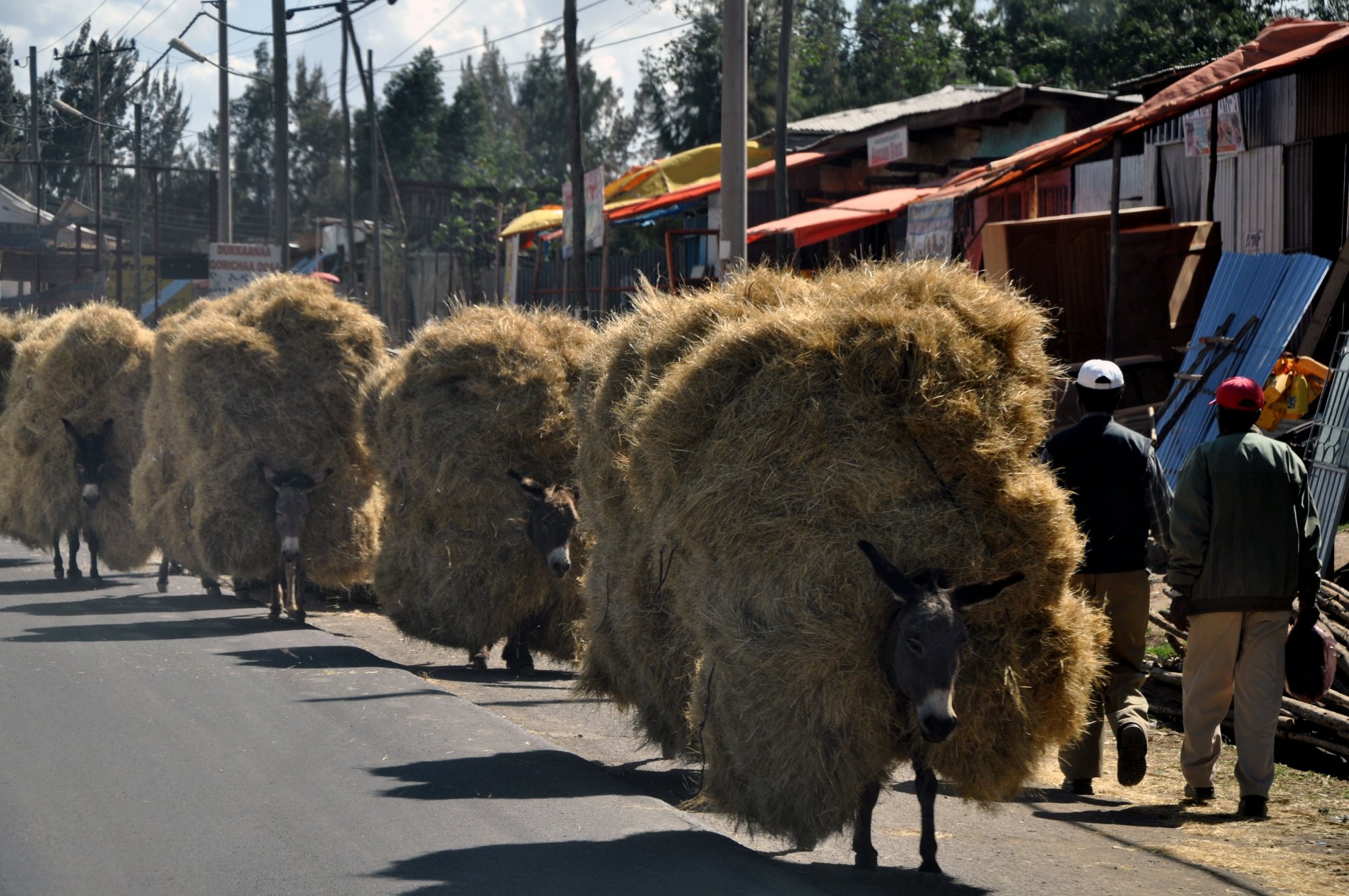 addisababastreet.jpg