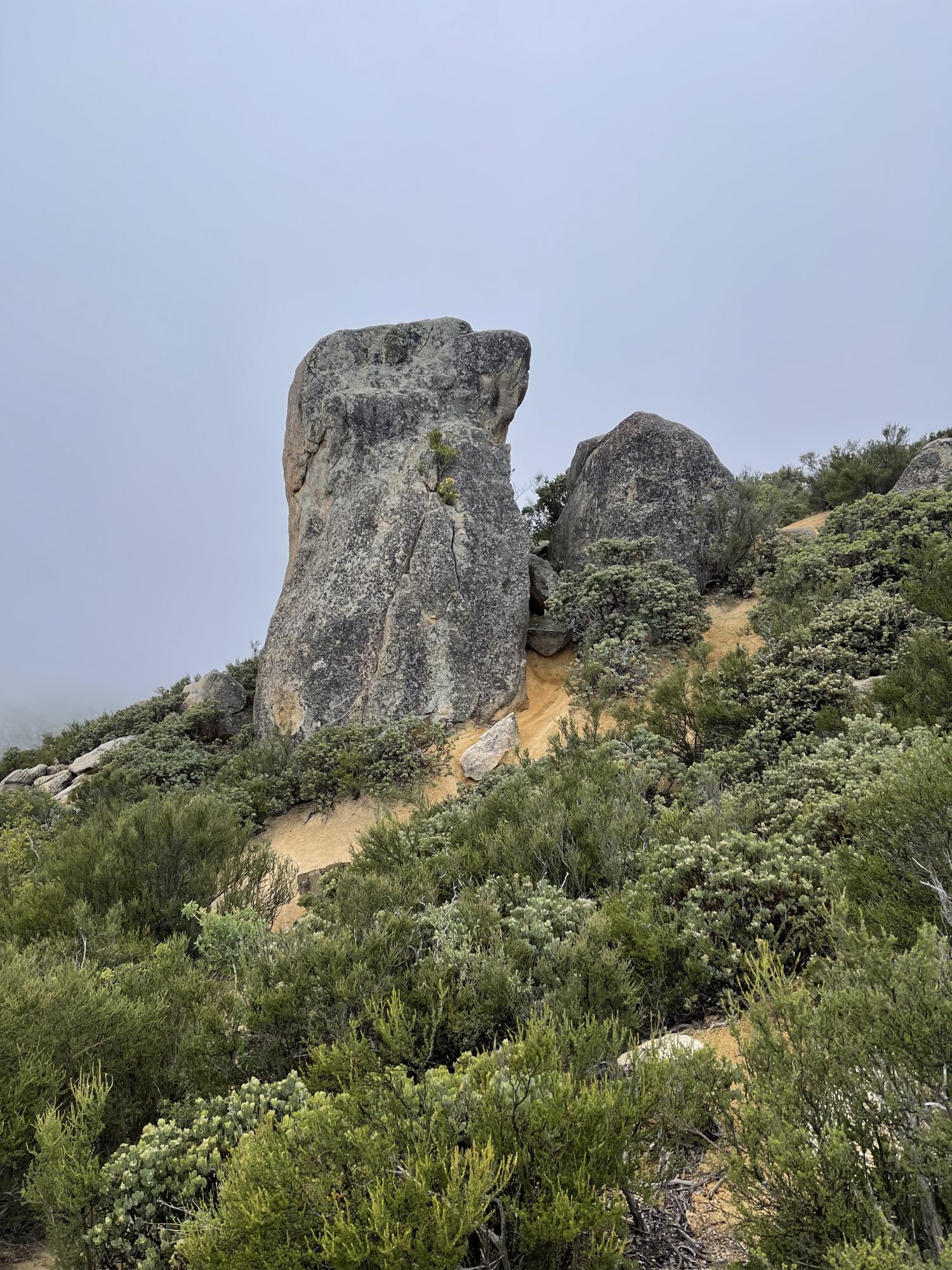 AF35E545-47D8-4250-B9CF-5354EADF97DE.jpeg